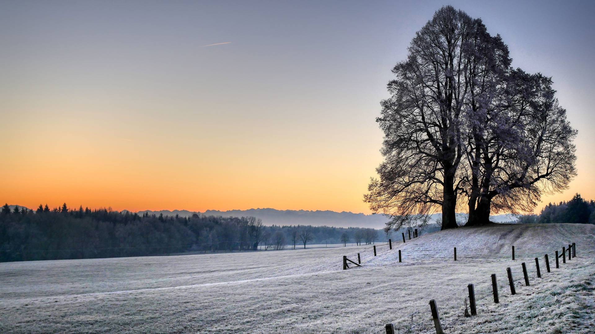 Presenetljiv preobrat: Več snega in mraza, kot je kazalo sprva 