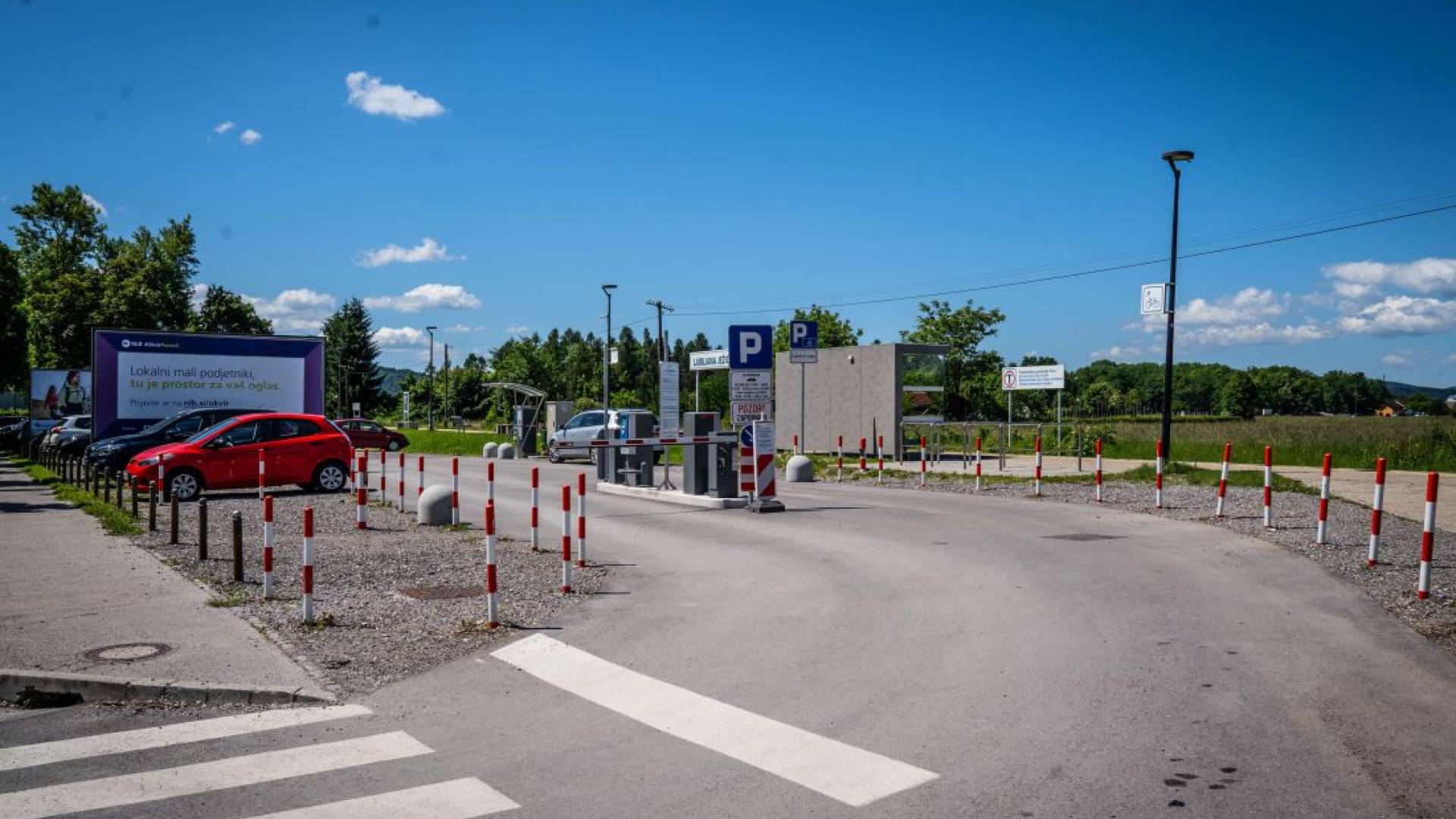 Na parkirišču Slovenčeva danes in jutri obrezovanje dreves