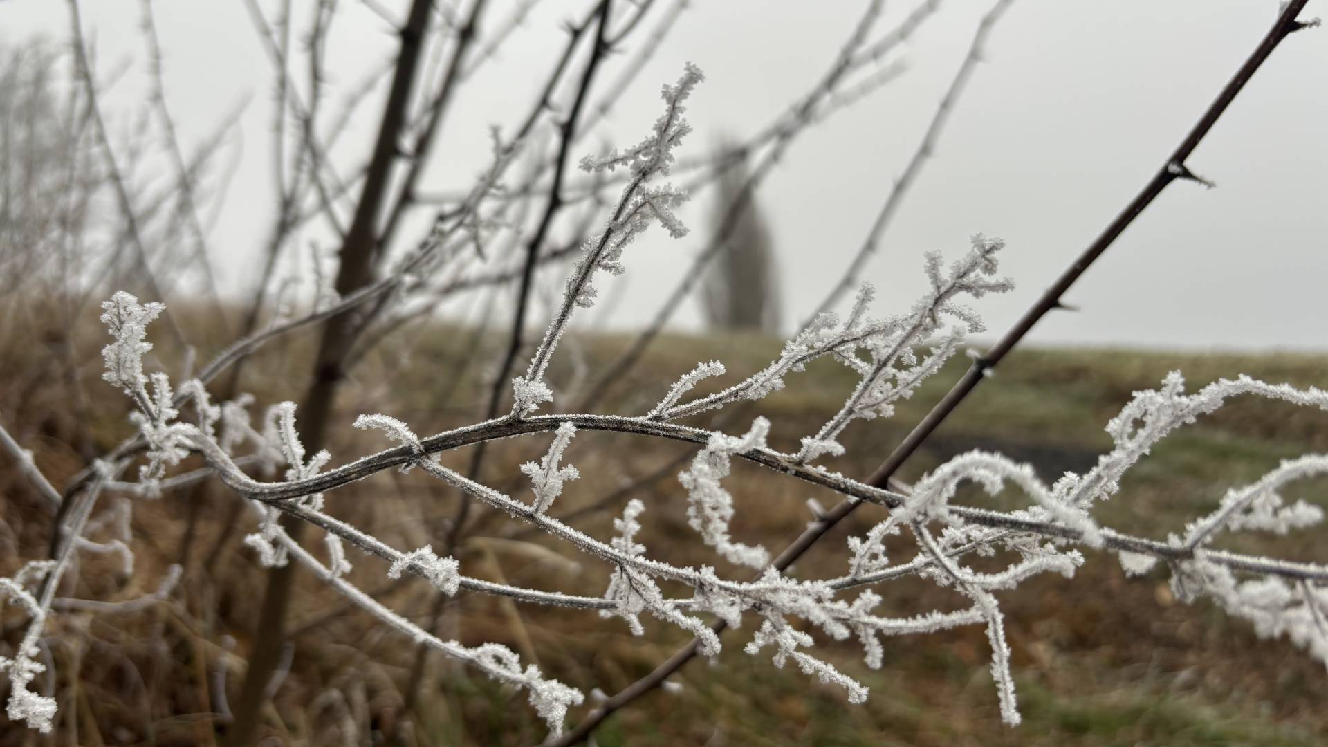 Ponoči jasno, jutro prinaša meglo in ...