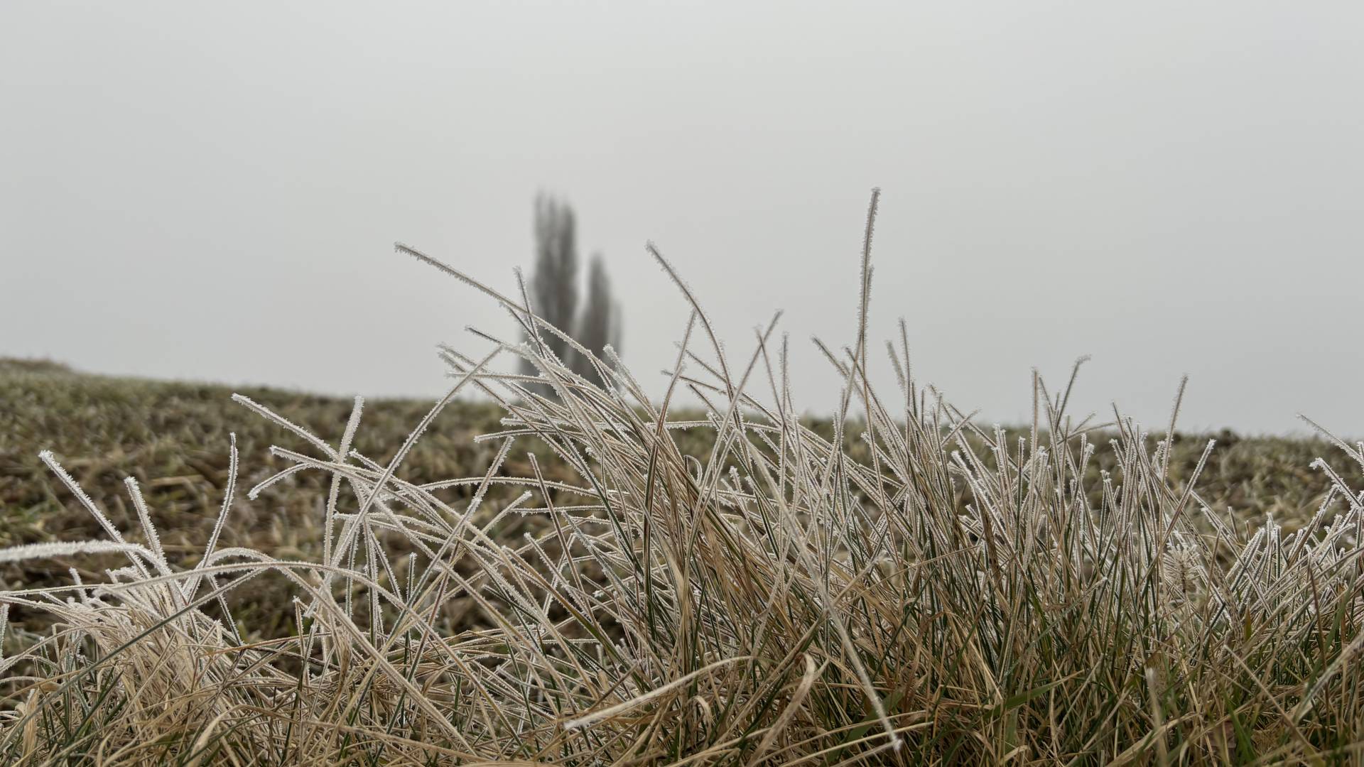 Od jasne noči do oblačnega ponedeljka