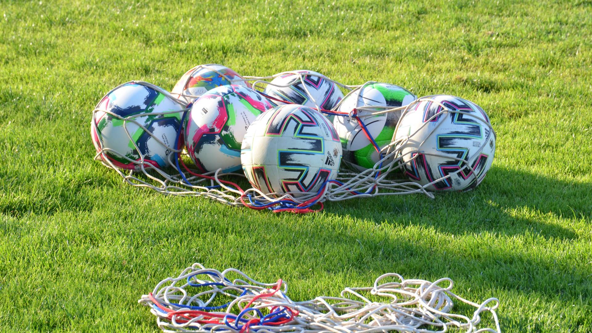 Polana bo prezimila na vrhu, Hotiza na repu