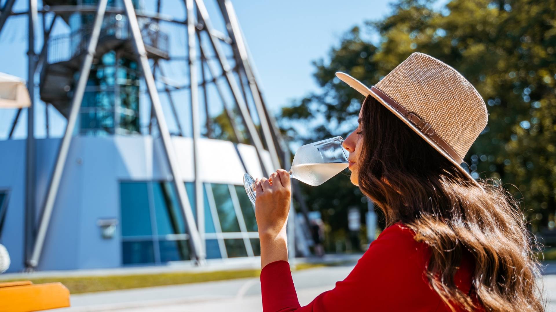 Lendava v znamenju tradicije, vina in veselja
