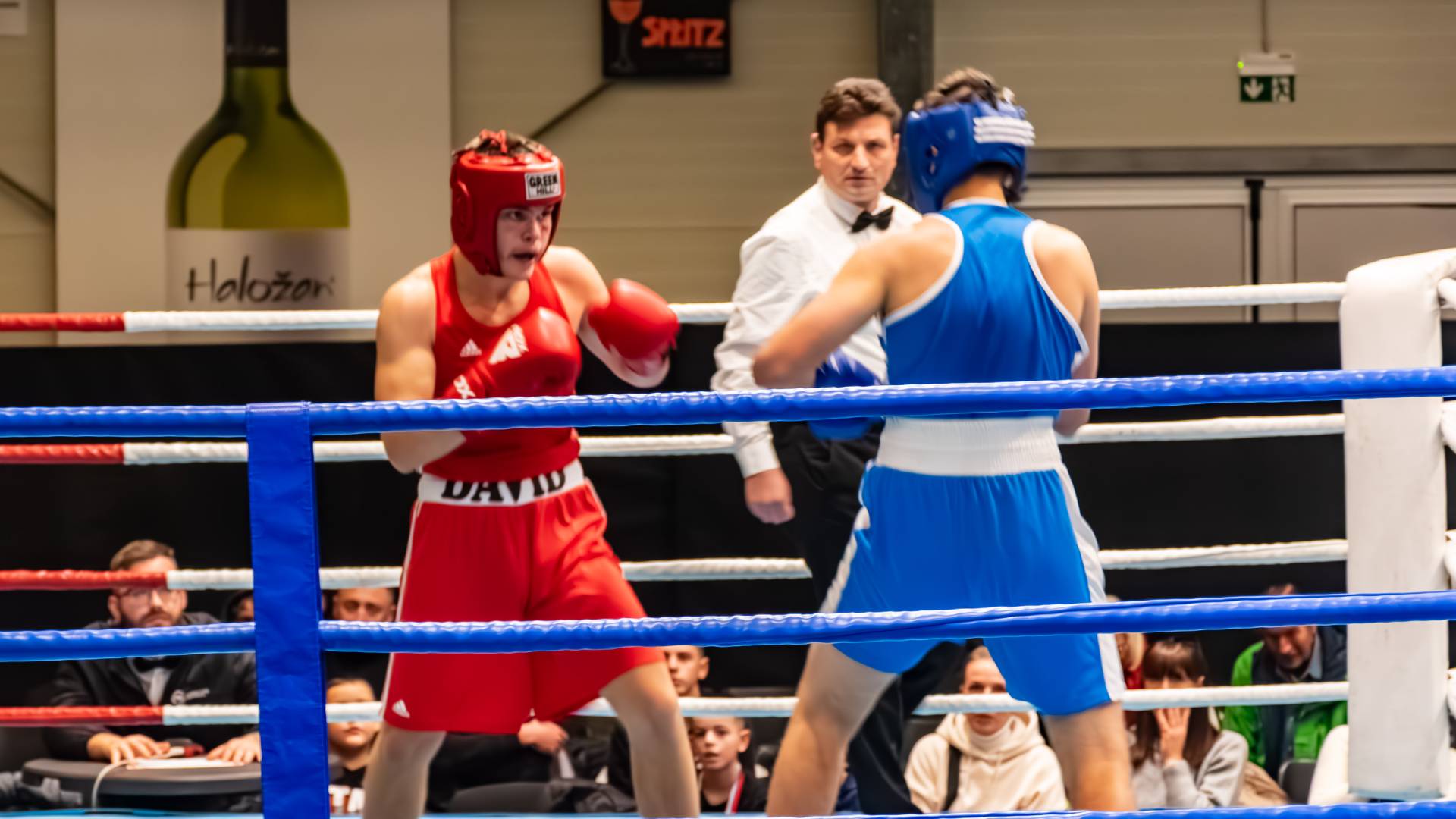 FOTO in VIDEO: Na Ptuju državno prvenstvo v boksu