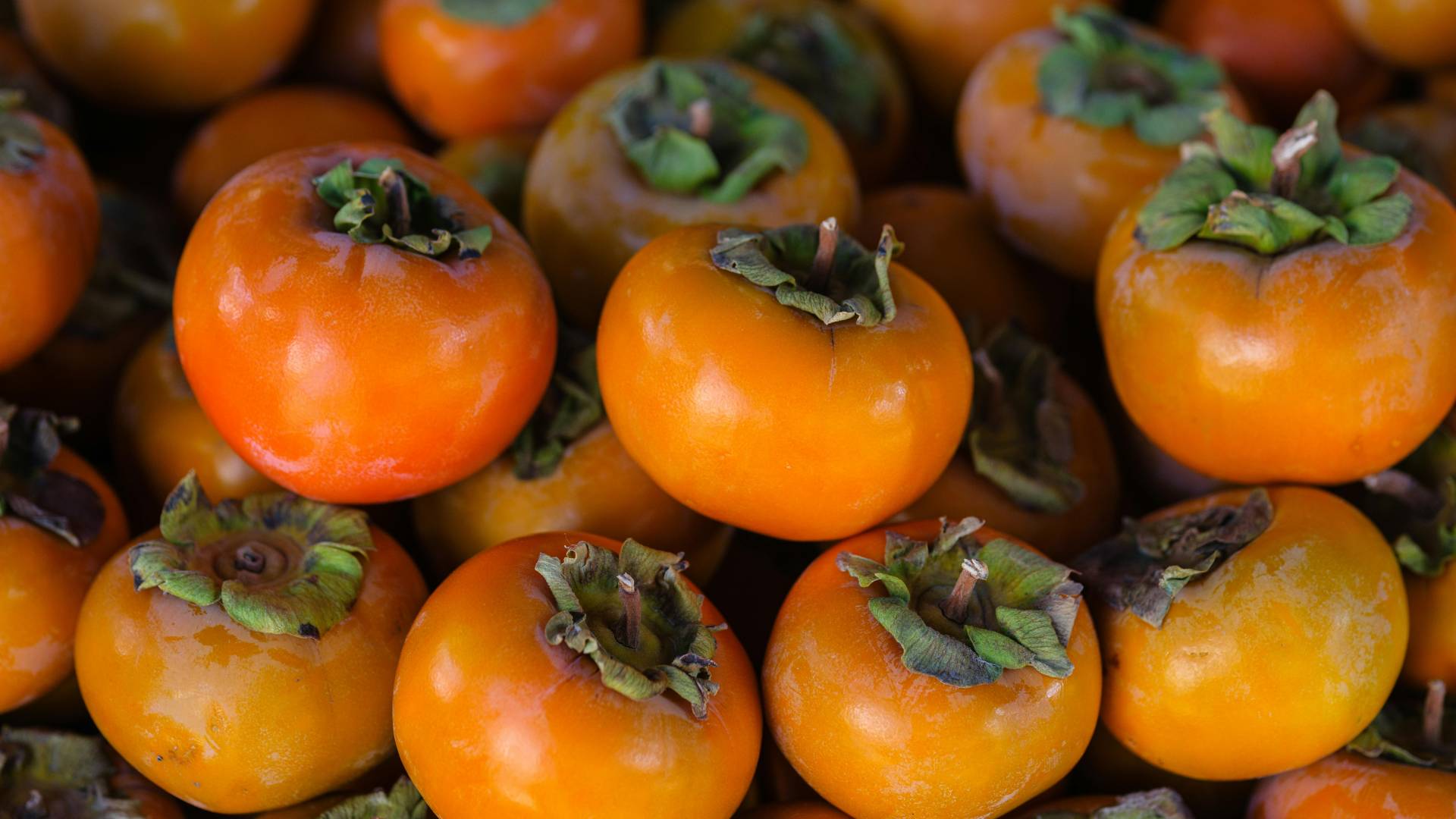 Je kaki obilno obrodil? Tako ga lahko shranite