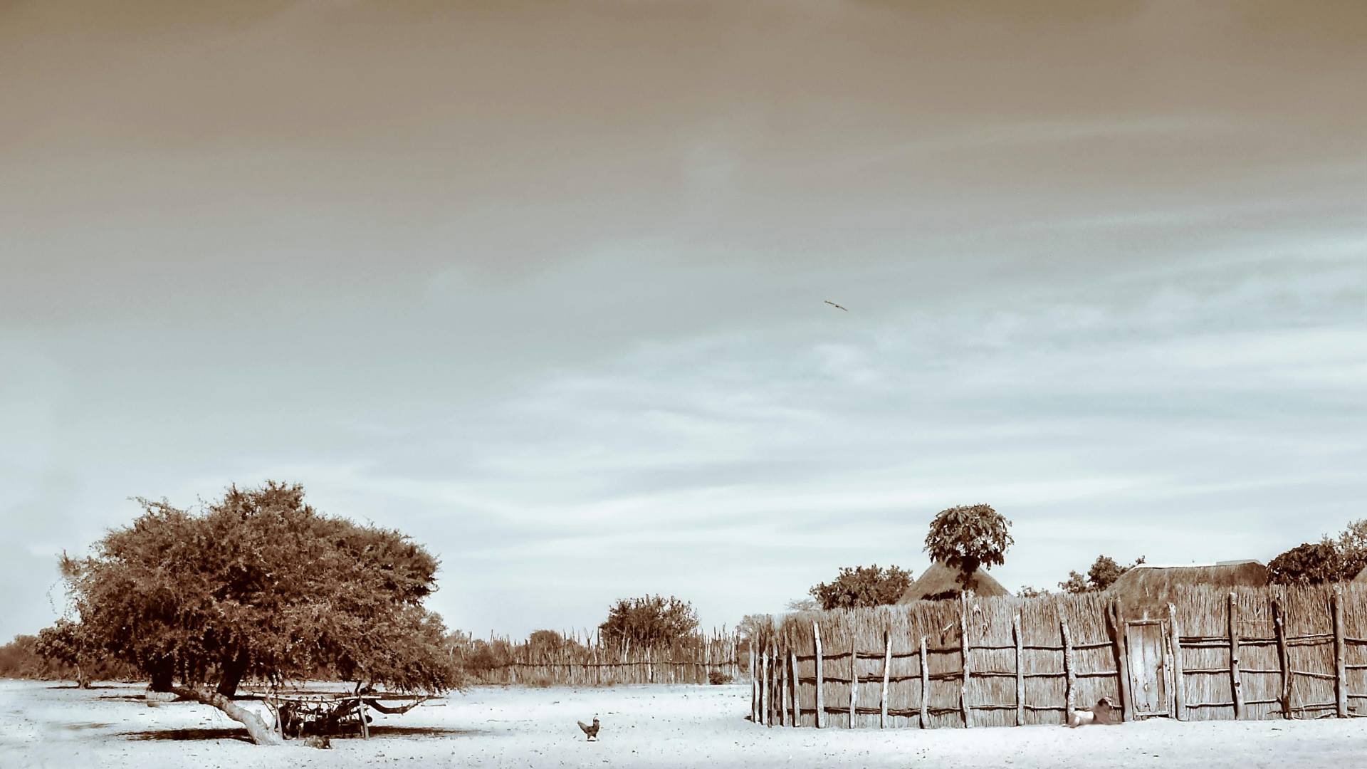 Afriški politik Adolf Hitler Uunona spremenil ime