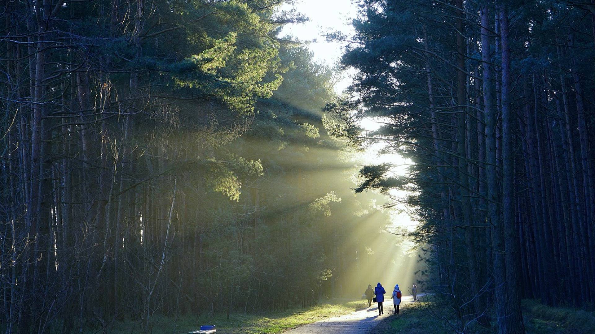 Mnenje Slovencev: Opažajo negativne okoljske spremembe in želijo obnovo narave
