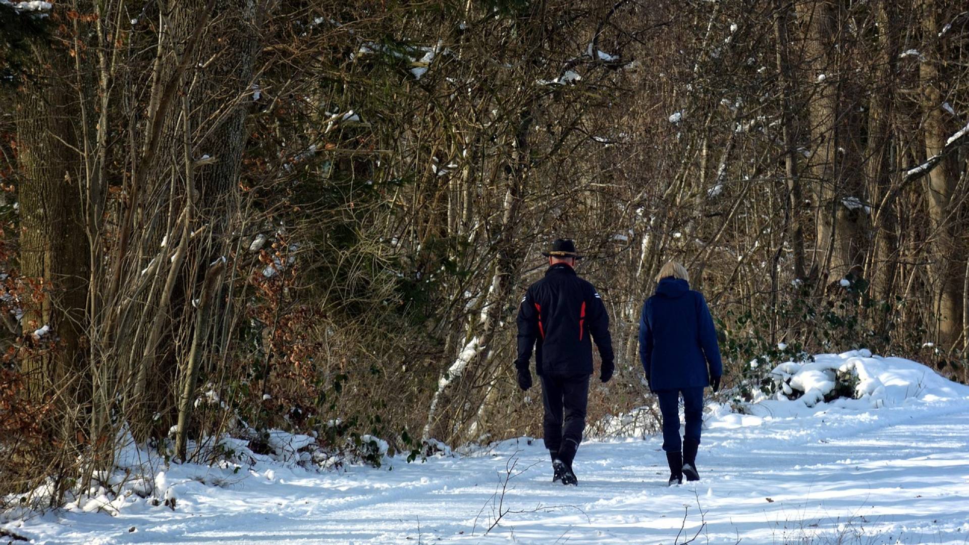 Anketa: Slovenci opažajo negativne okoljske spremembe, skrbi jih obnova narave