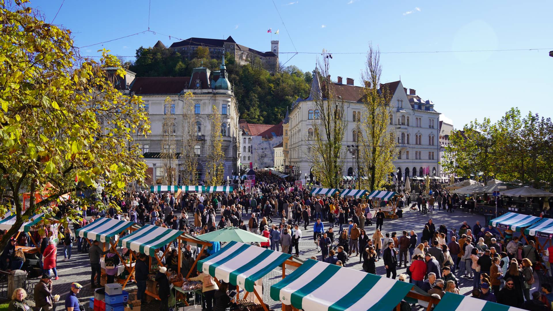 November v Ljubljani v znamenju žlahtne kapljice: Dva velika vinska praznika v središču prestolnice