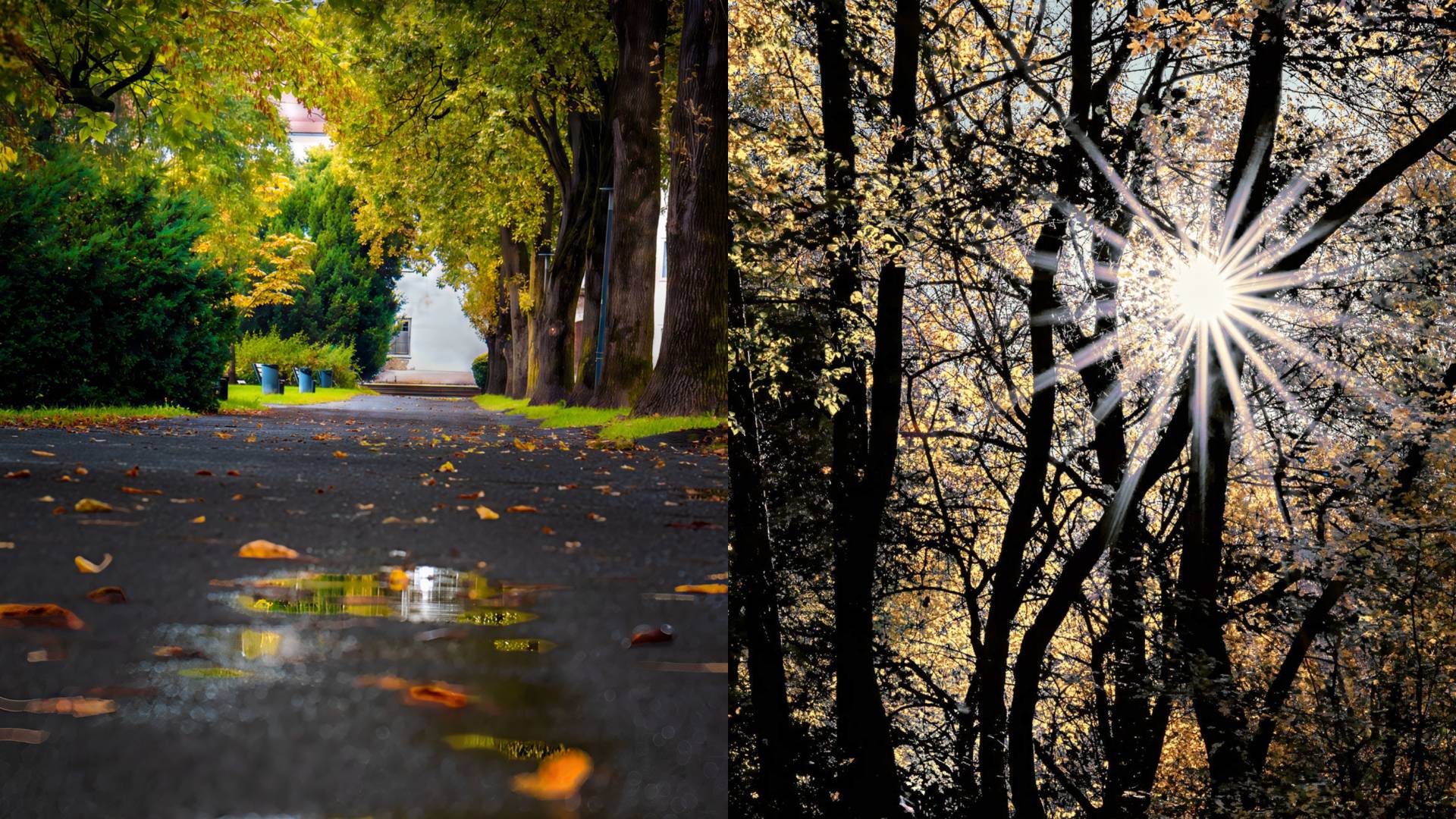 FOTO in VIDEO: »Zadnji dih svetlobe« v Murski Soboti 