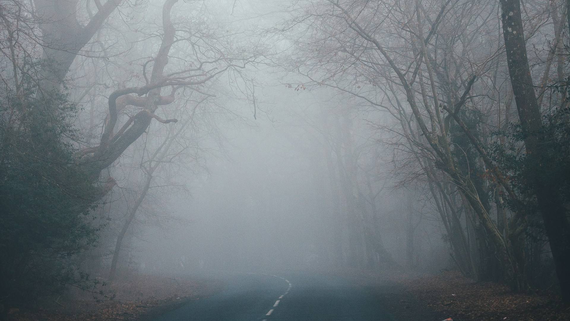 Megla ponoči in temperaturni obrat: Kaj nas čaka ta vikend?