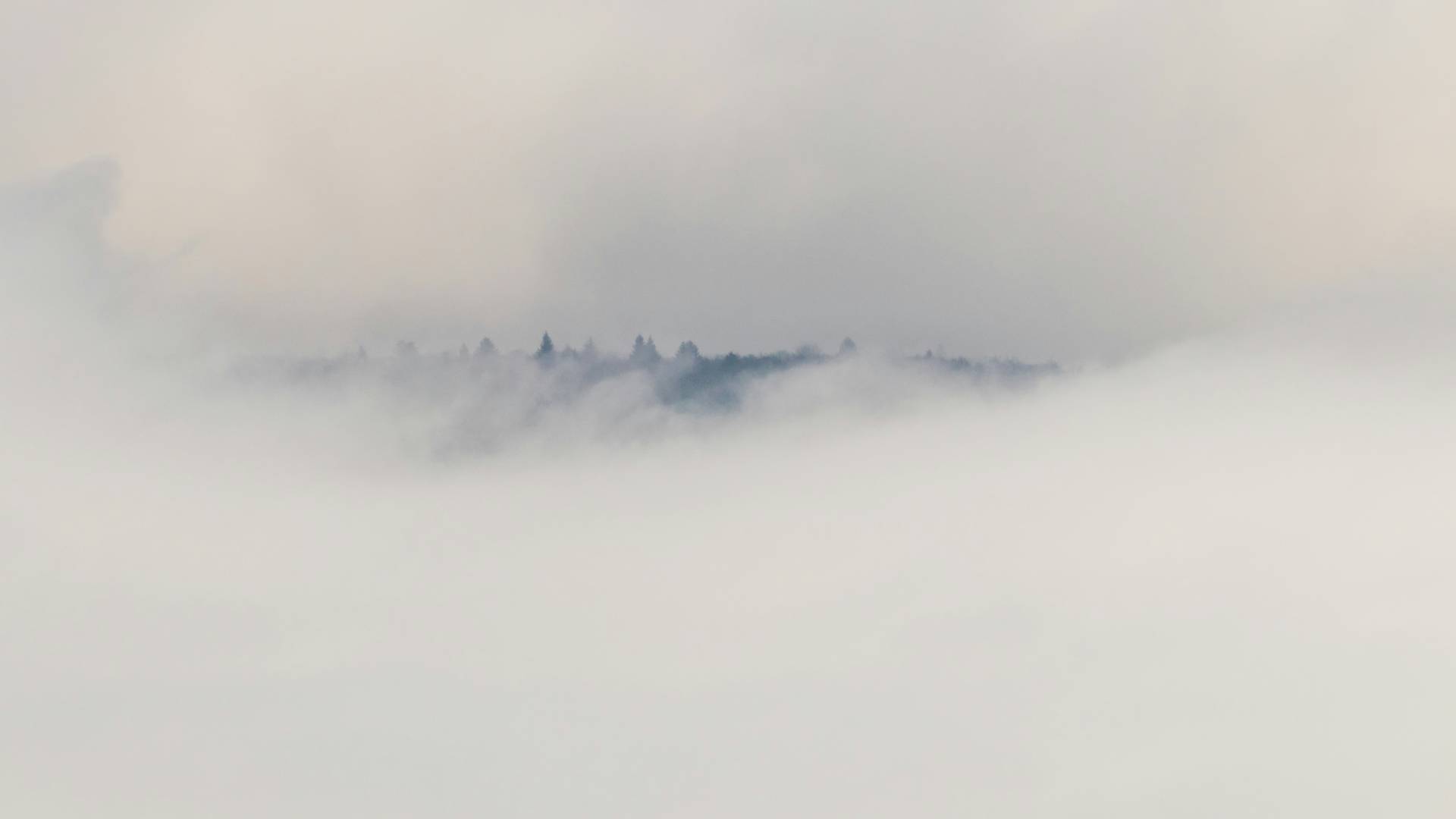 Megla in nizka oblačnost bosta po nižinah še naprej vztrajali