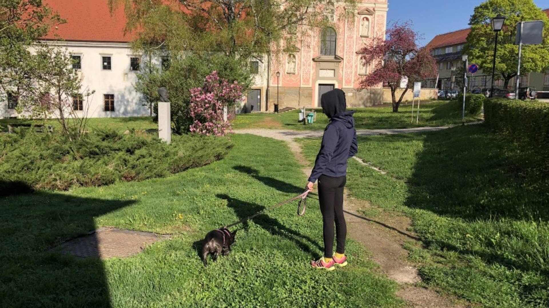 Pasjih kakcev na ptujski ulici toliko, da bi jo lahko preimenovali? »Nekateri so še vedno preveč brezbrižni do skupnega prostora.«