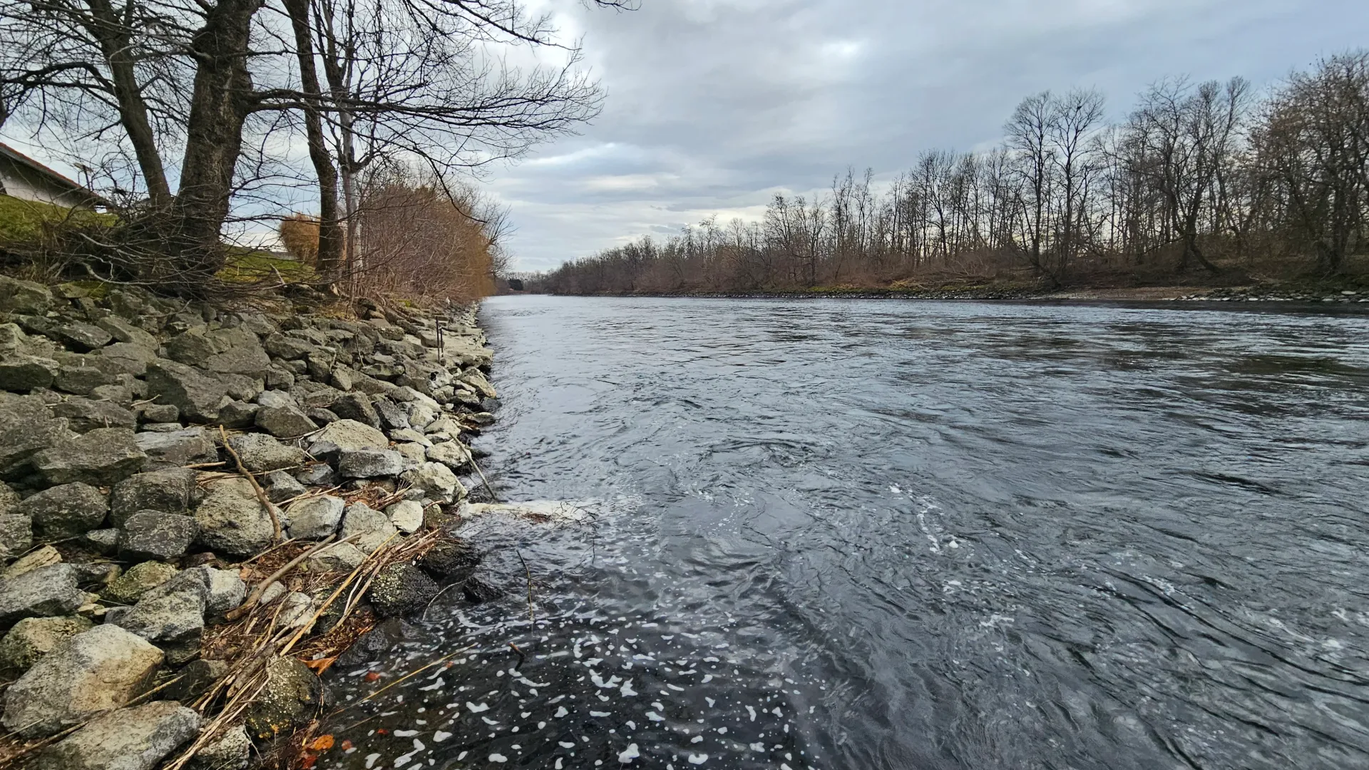 Eden zadnjih ostankov nekdanjih mrtvic ob Muri dobiva novo priložnost za življenje