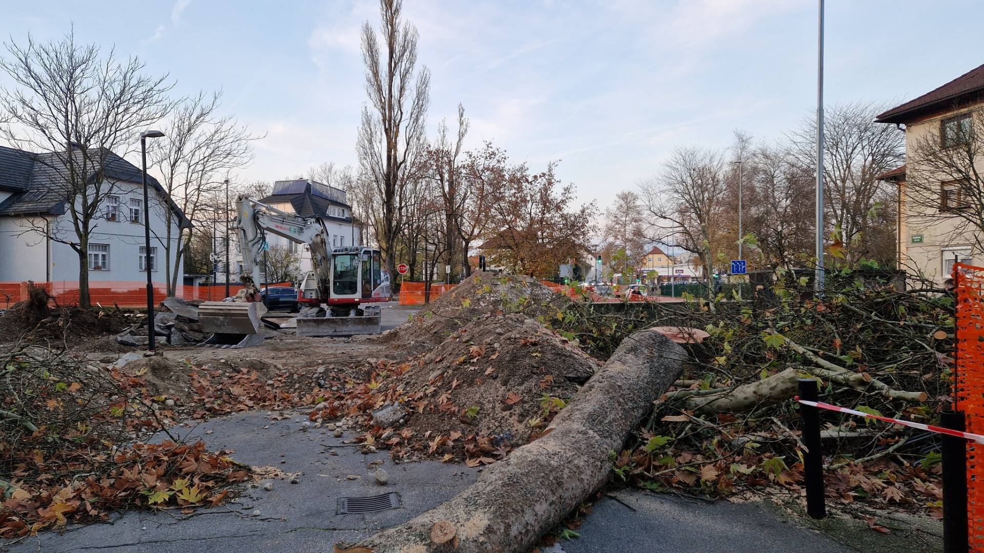 Na Parmovi posekali drevesa, tudi platane ob postajališču ni več