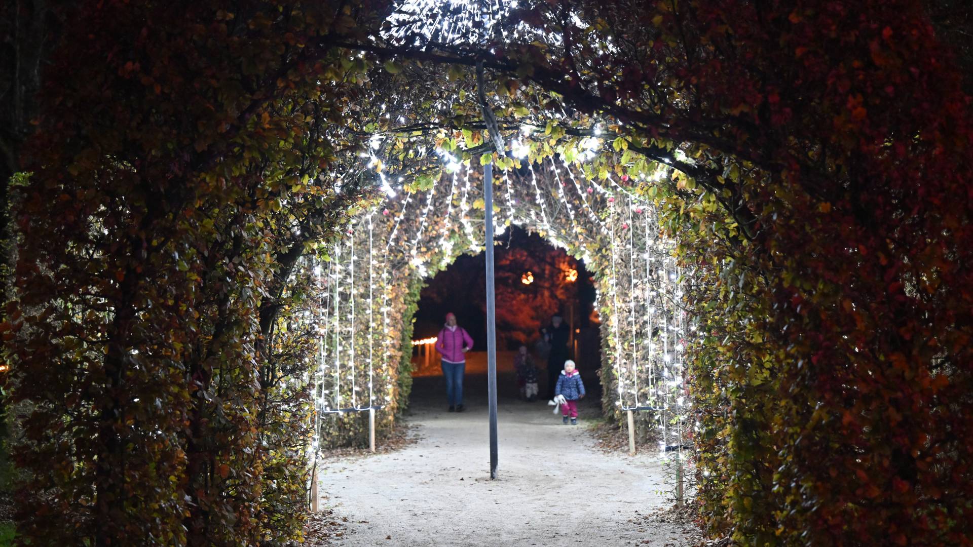 PREDLAGAJTE: Kje na Dolenjskem je naj okrašena izložba?