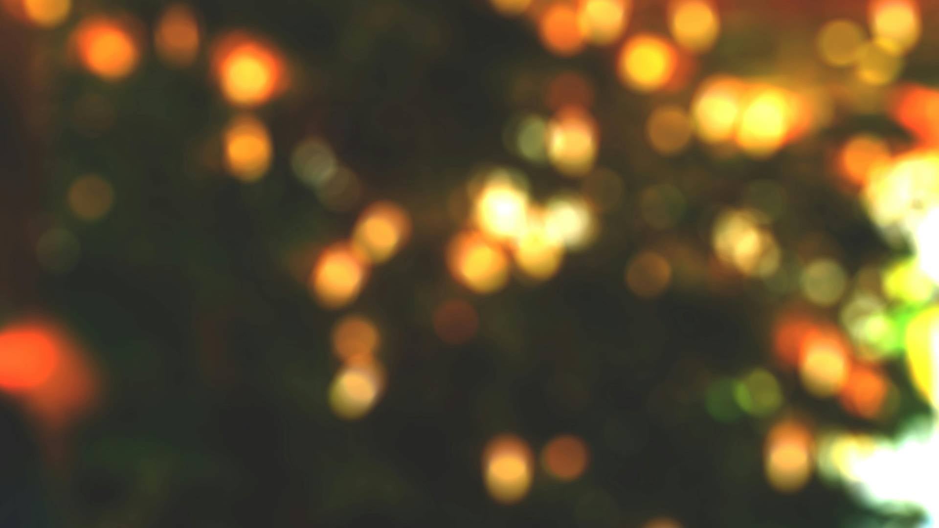 Melania Trump znova navdušila z okrasitvijo Bele hiše: 55 kilogramov medenjakov in tisoči zlatih zvezd