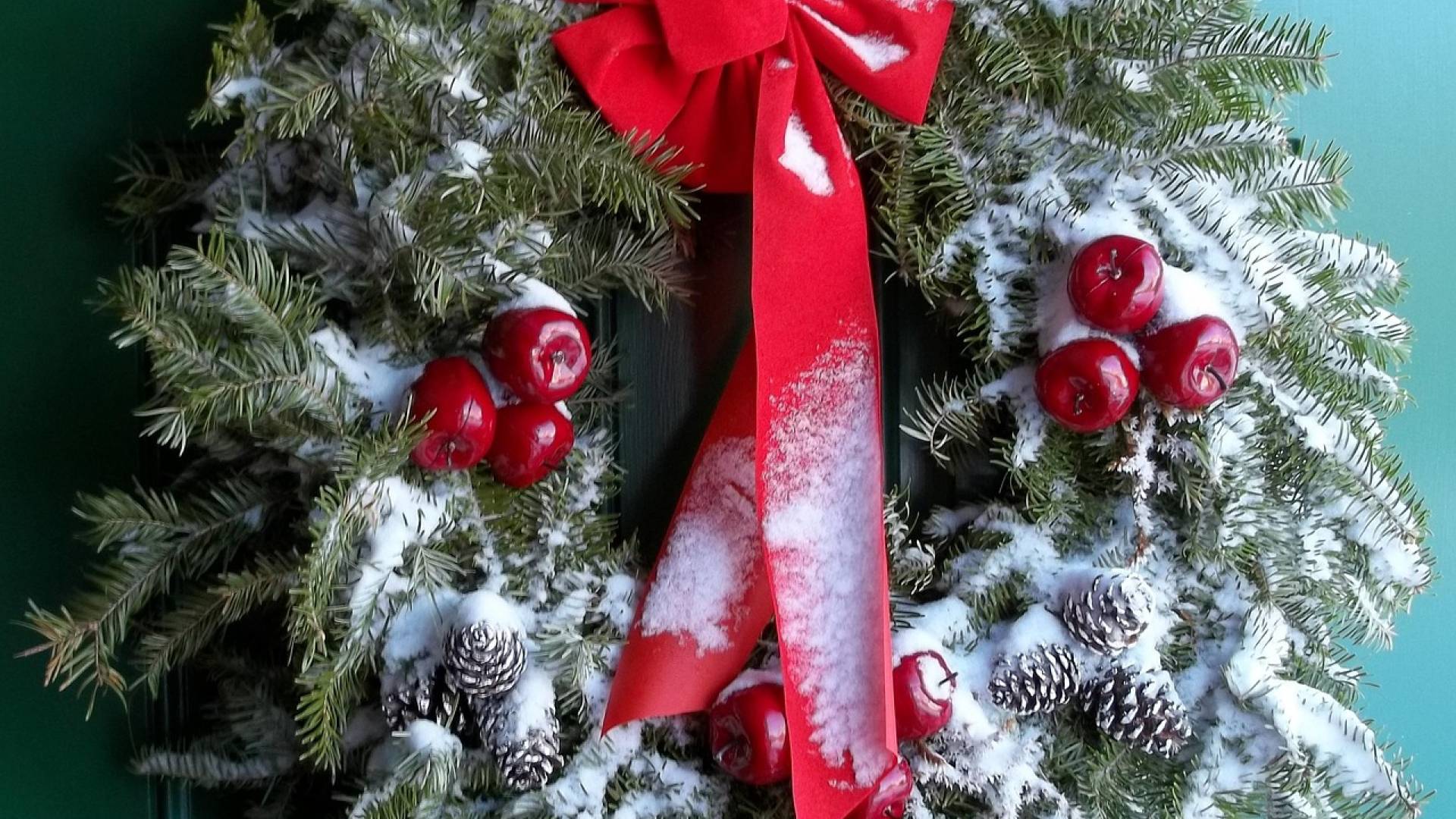 Božična razkošnost Melanie Trump: 51 dreves, 75 venčkov in morje lučk