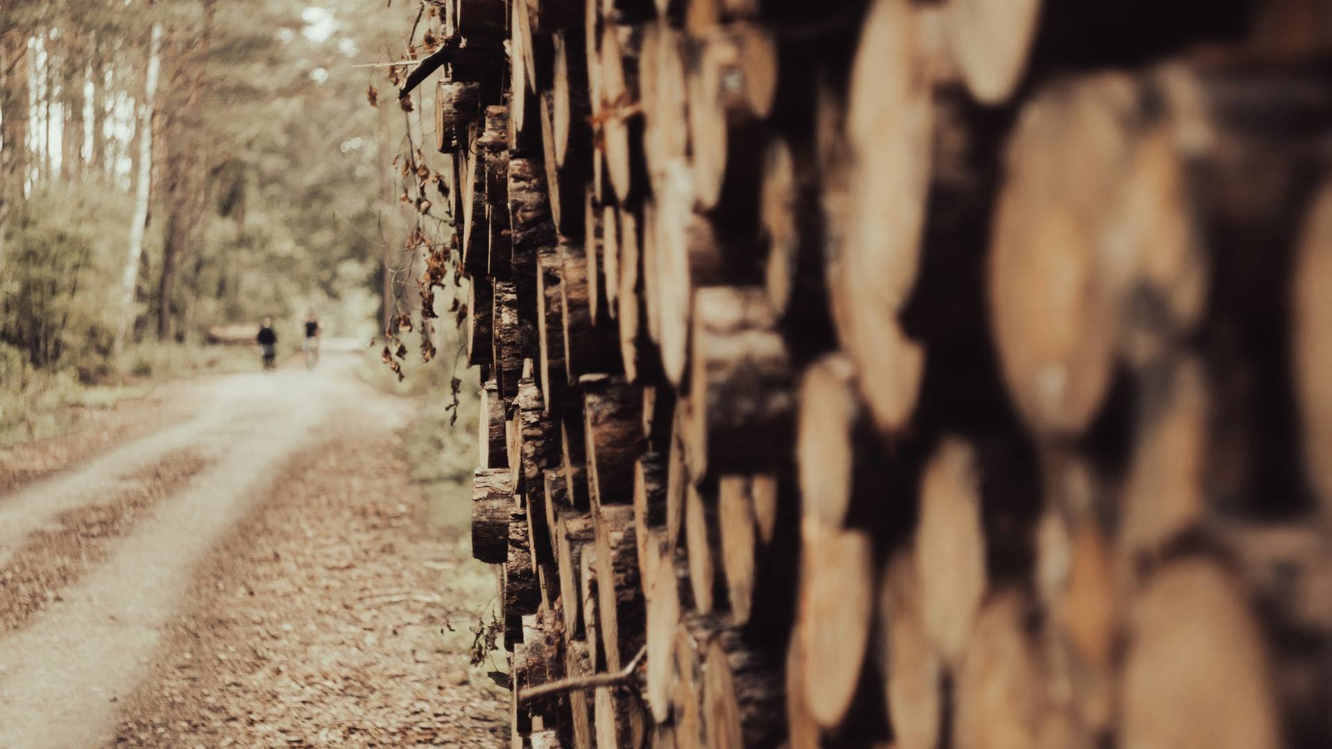 Domov se ni vrnil; našli so ga v gozdu, kjer je tudi umrl