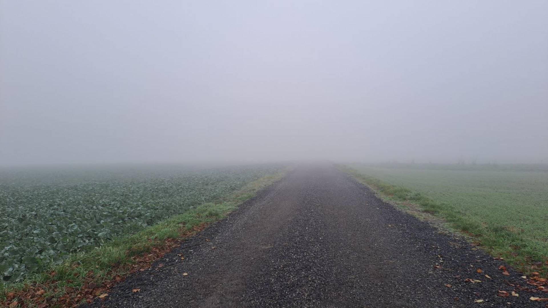 Gosta megla v Pomurju: Preverili smo, kako vpliva na zrak in kaj kažejo meritve PM10