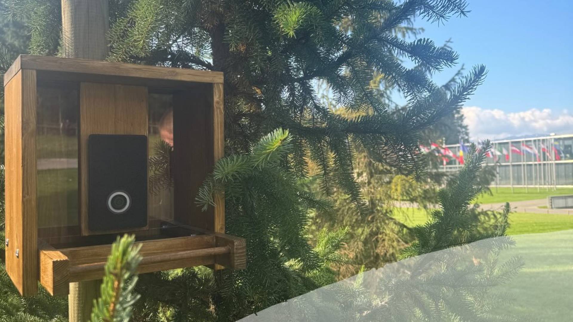 Dogajanje s protokolarnega posestva Brdo v živo: Ne predsedniki, ampak pernata druščina