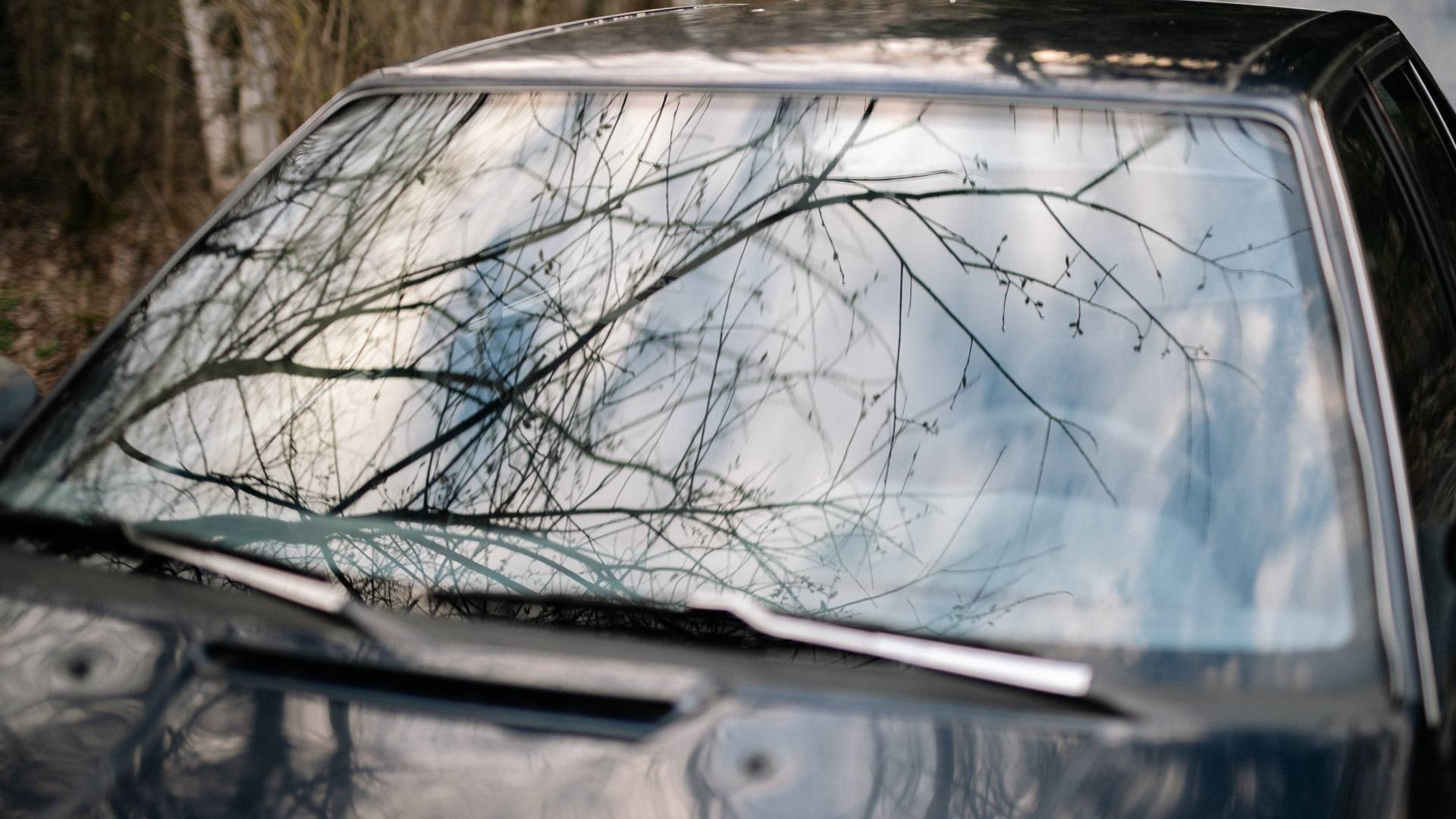 Trčil v drevo in zdrsnil v globino, v prometni nesreči umrl 23-letnik