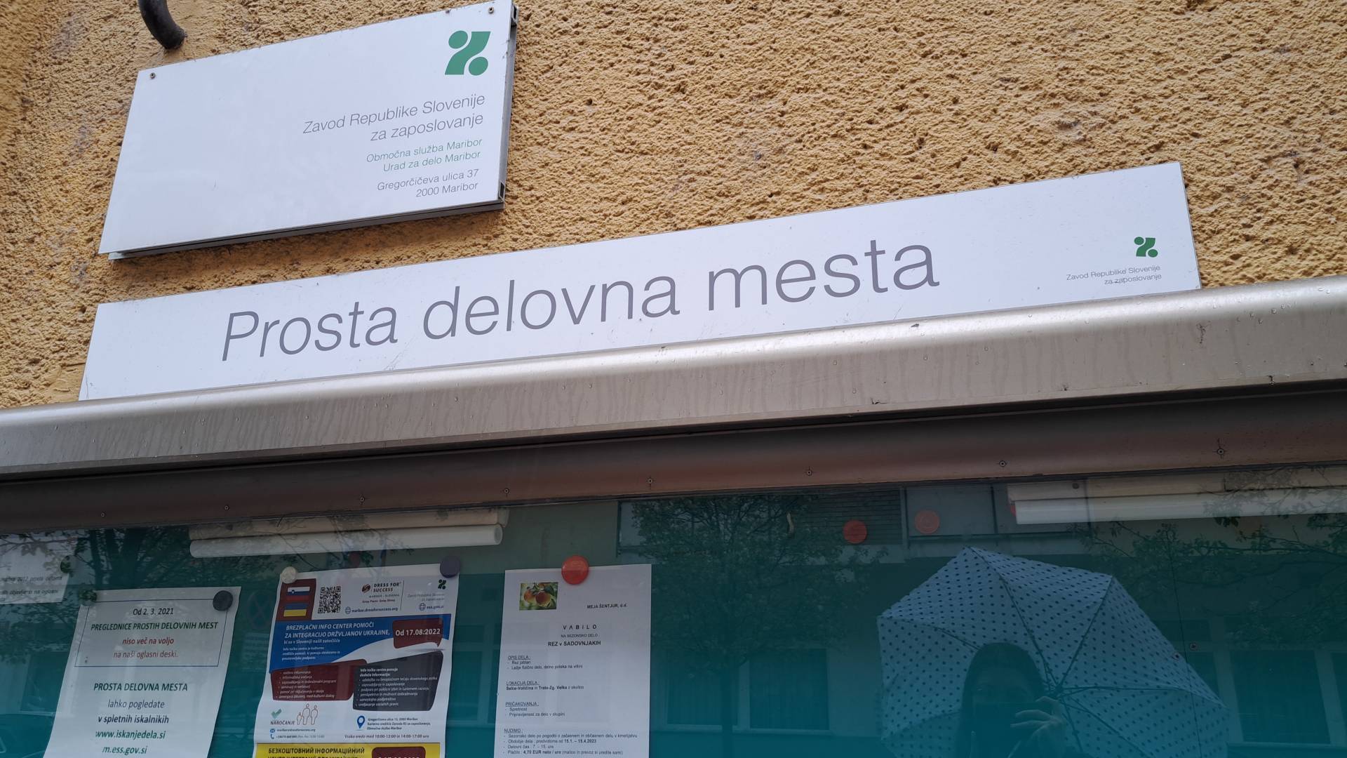 Znano, kateri poklic je bil letos najbolj 'vroč' 