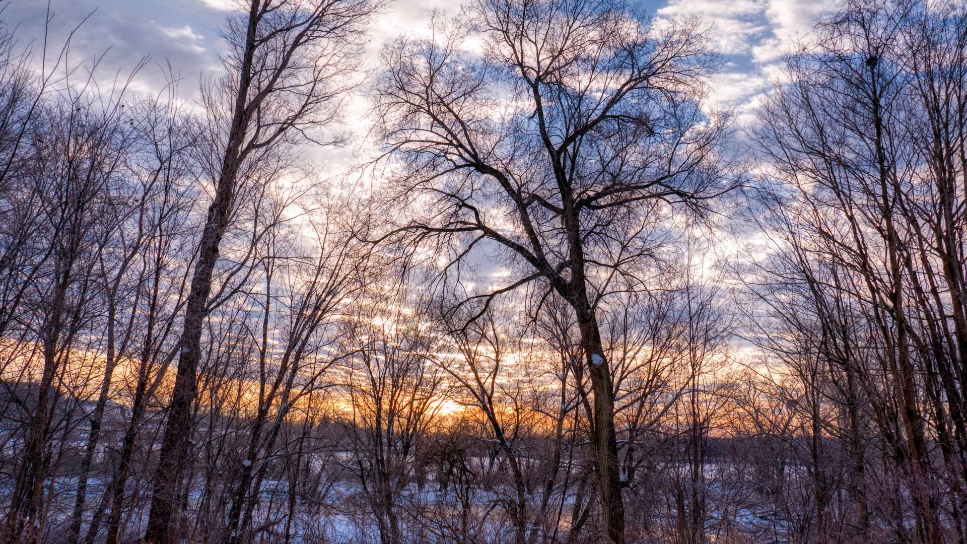 Zimski solsticij, dan bo trajal manj kot devet ur