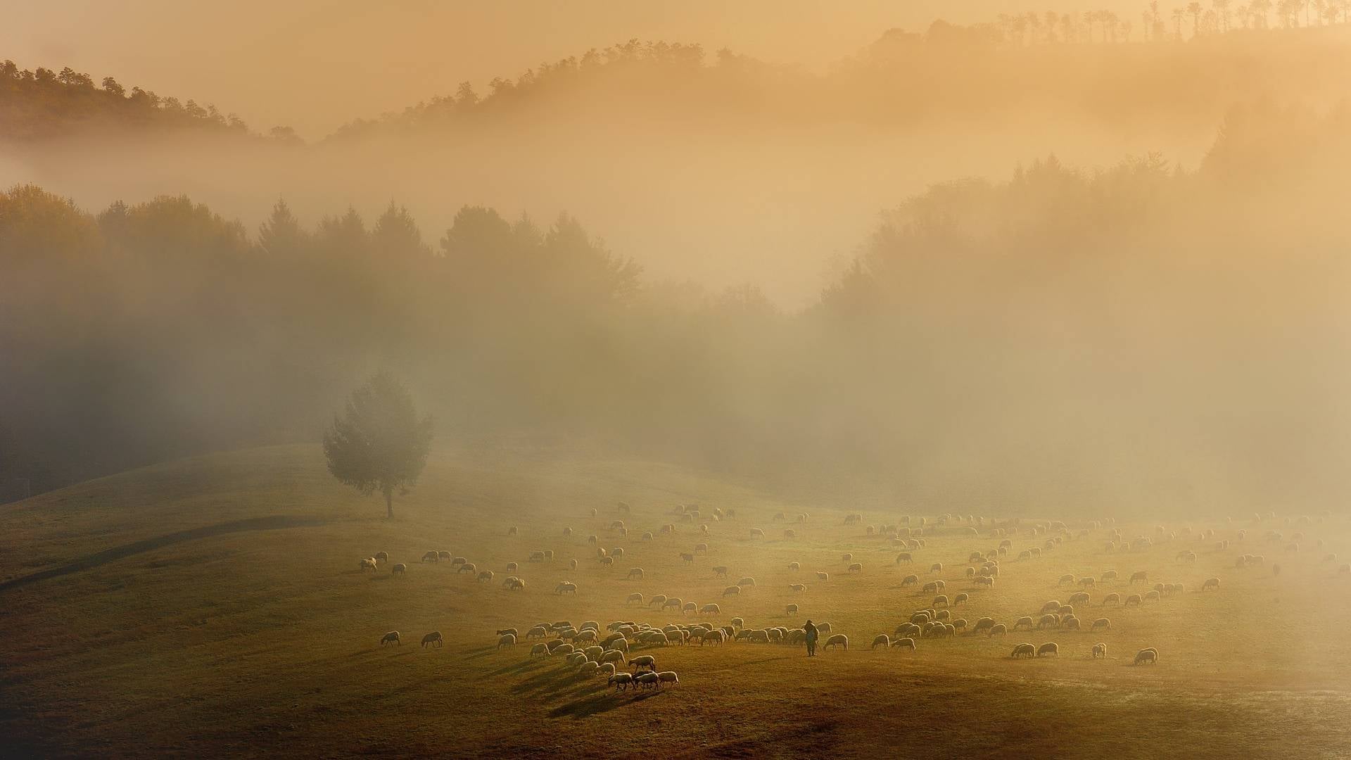 Pred nami meglena in oblačna nedelja, kaj prinaša začetek tedna?