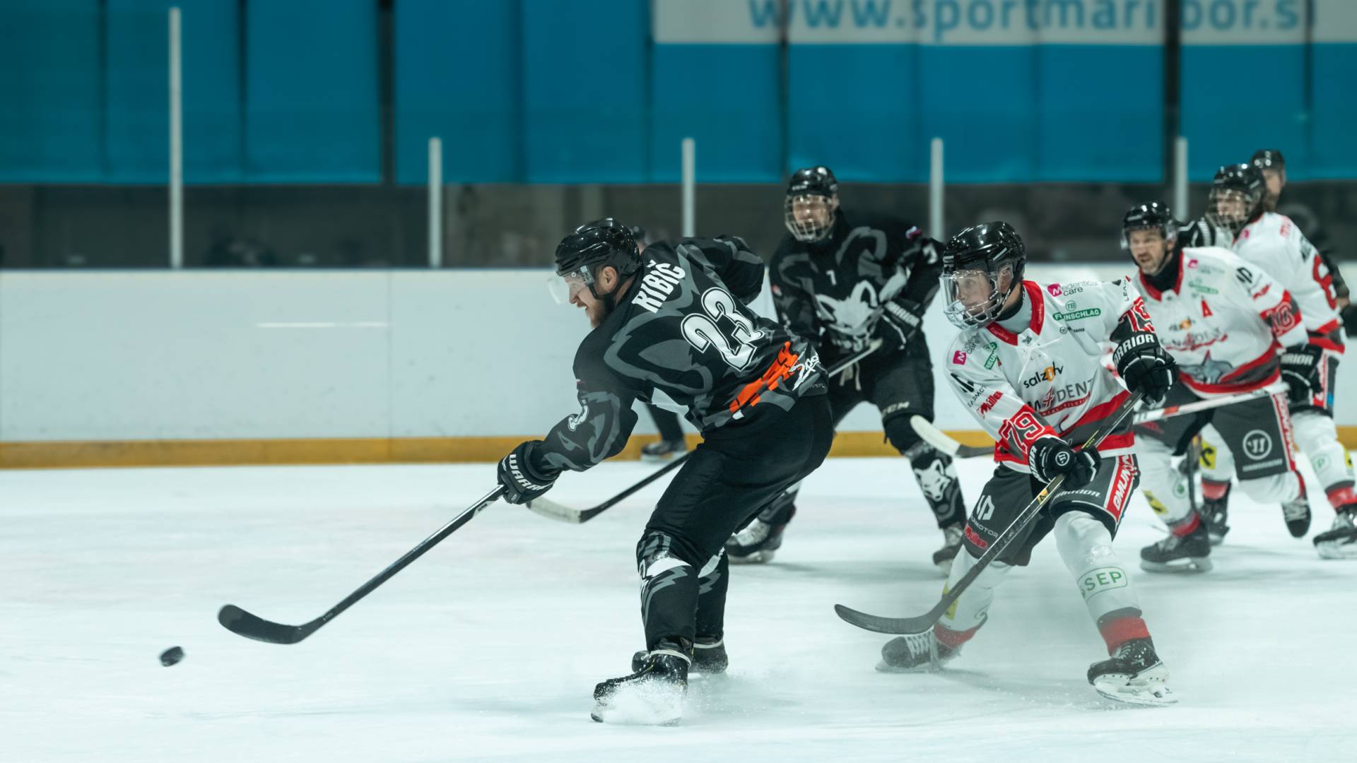 Zdesetkani mariborski Lisjaki morali priznati premoč vodilni ekipi prvenstva 