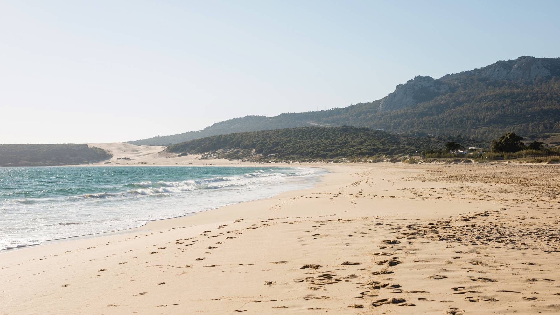 Grozljivka na znameniti avstralski plaži: V streljanju več mrtvih in ranjenih 
