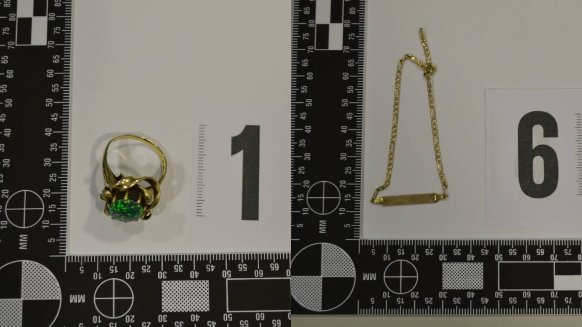 Prepoznate nakit na fotografijah? Policija išče lastnike