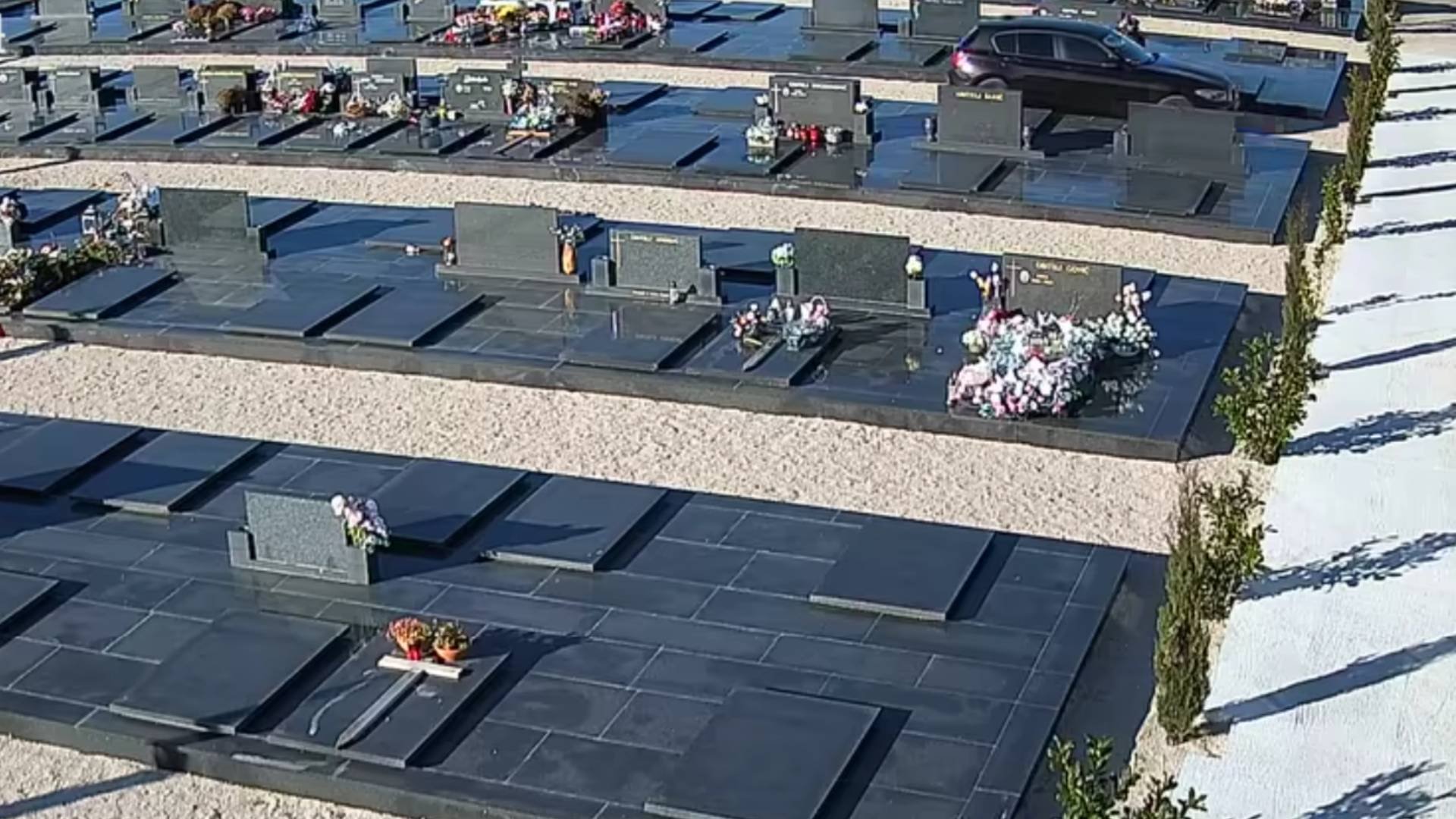 VIDEO: Bizaren prizor s pokopališča, voznik z avtom zapeljal med grobove