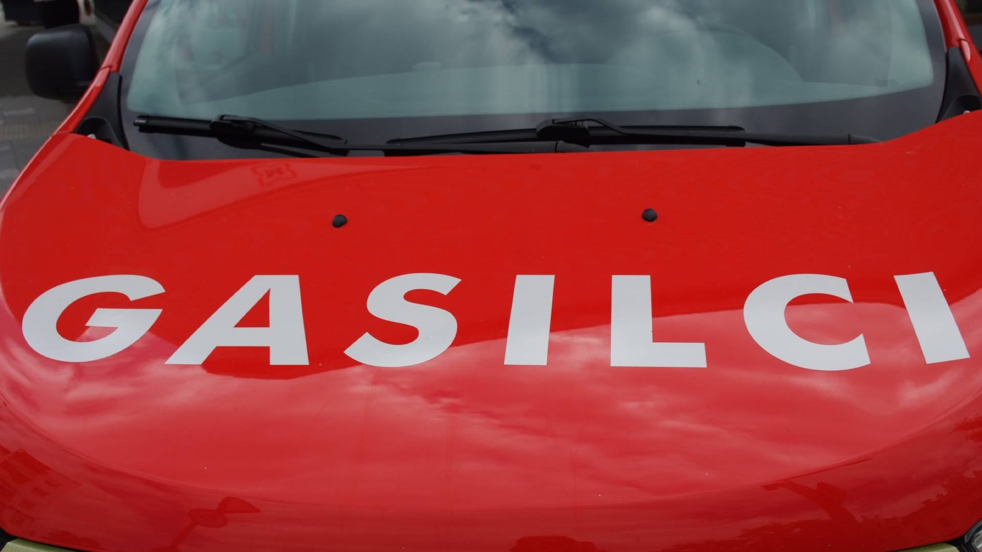 Gasilki med požarom rešili prestrašeno muco