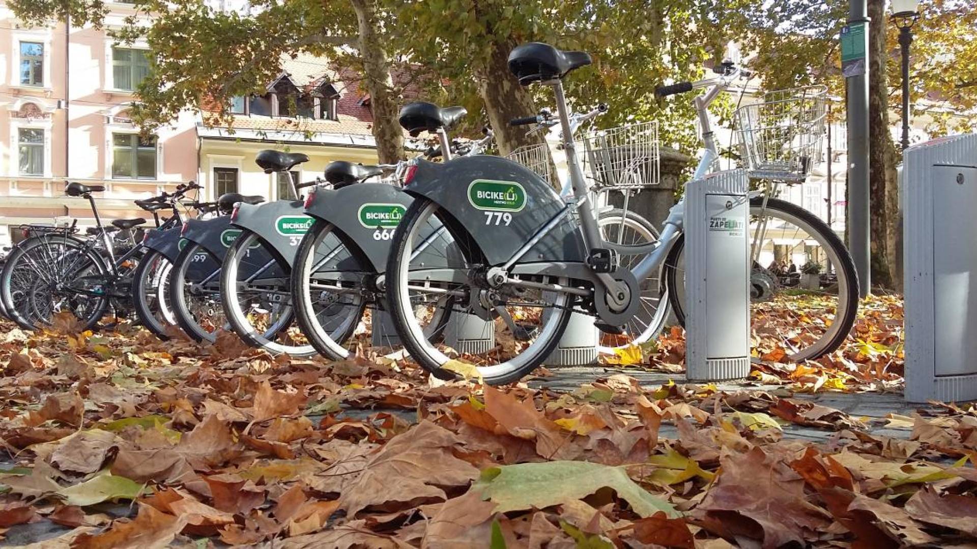 Nevarno listje preplavlja ulice Ljubljane: Župan razkriva razlog zamude pri čiščenju