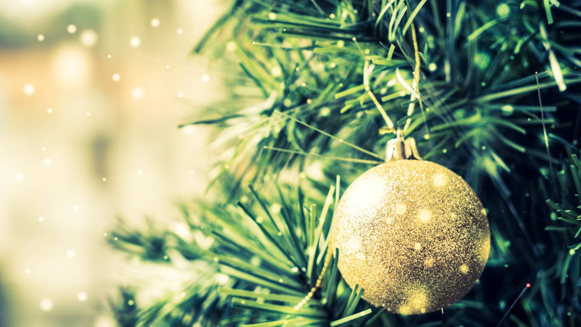 VIDEO: Kupil božično drevo, doma pa doživel šok: »Je to šala?«