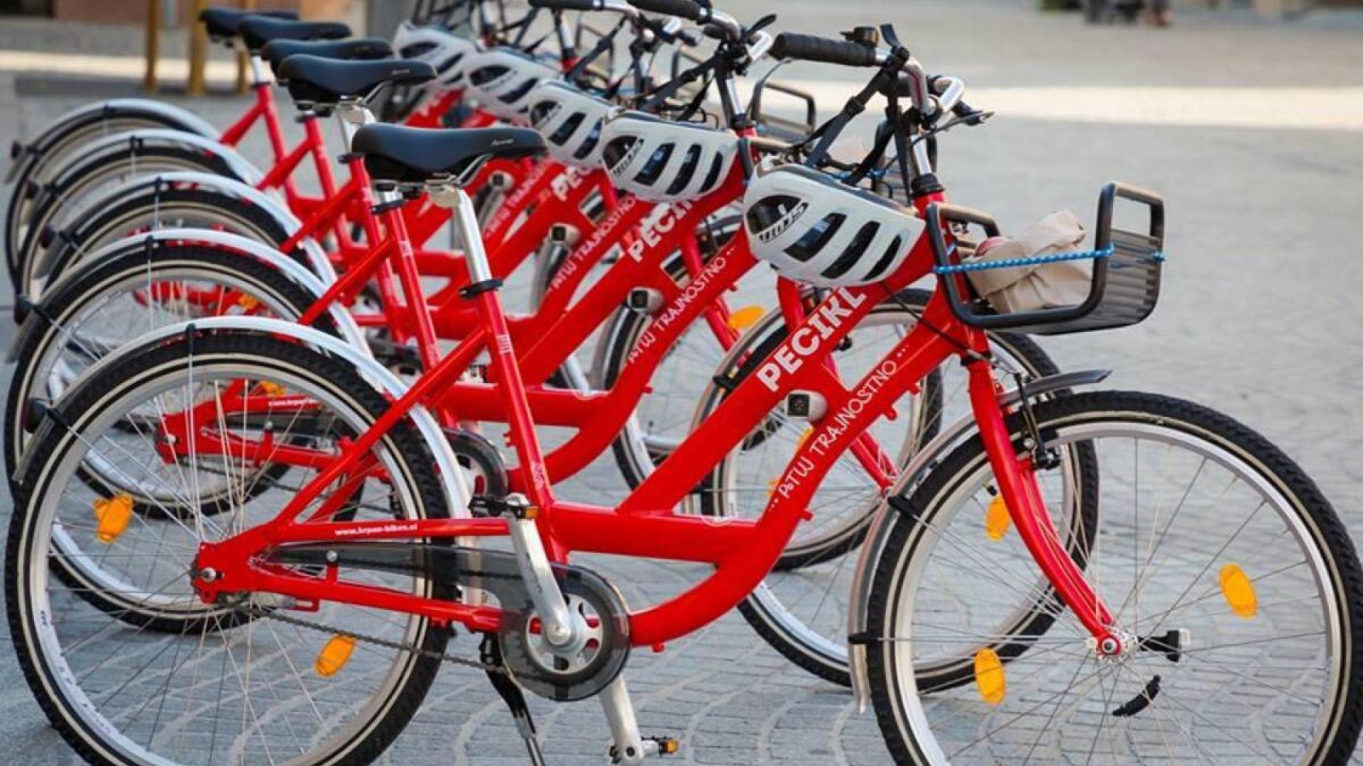 Mestna občina Ptuj bo nadgradila sistem za izposojo koles. Kaj prinaša projekt PECIKL 2?