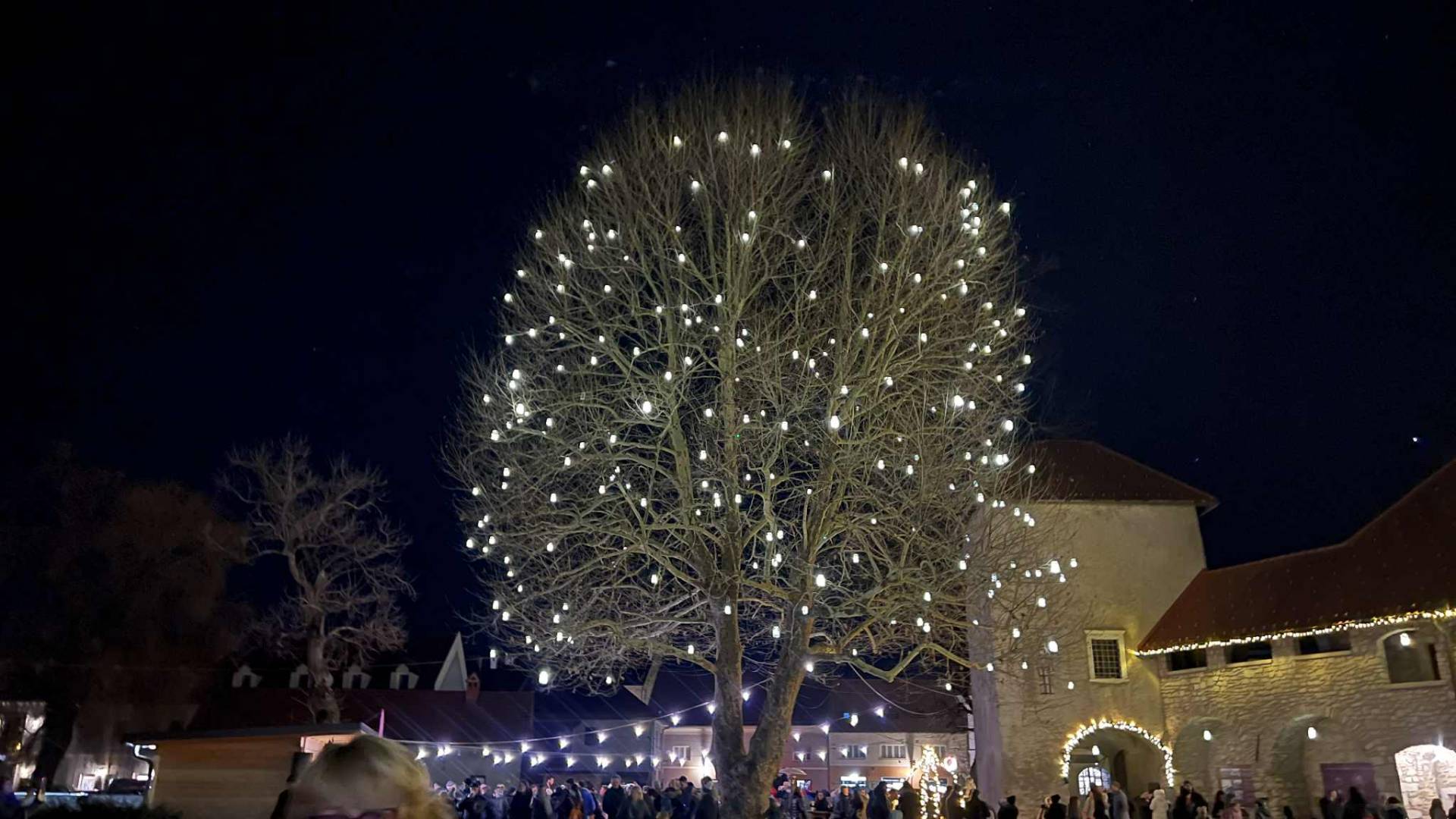 Kavarna na dvorišču ribniškega gradu spet odprta, a pozor, ne vsak dan!