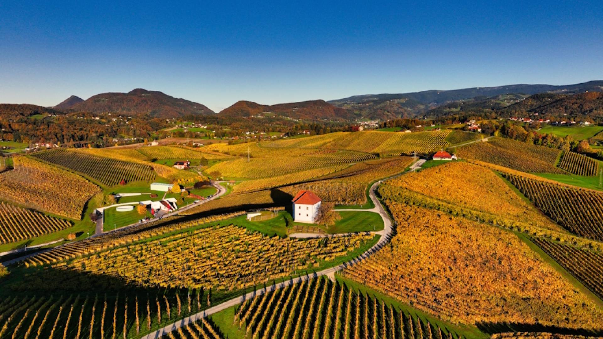 Sommelierka svetuje: kako izbrati pravo vino za sestro, brata, šefa ali prijatelje?	