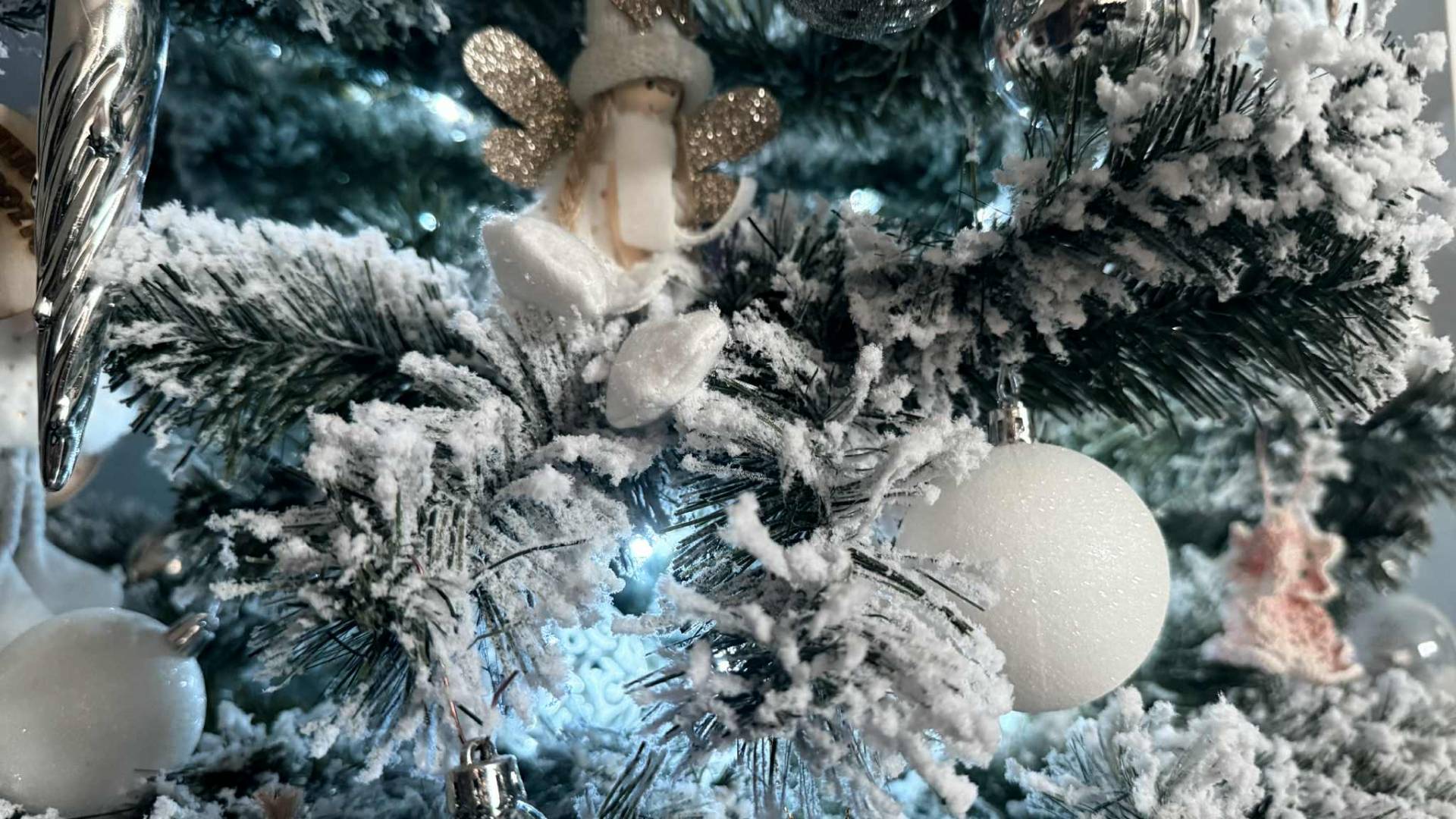 VIDEO: Kupiš božično jelko, dobiš pa mikrodrevesce: Posnetek, ki je nasmejal svet