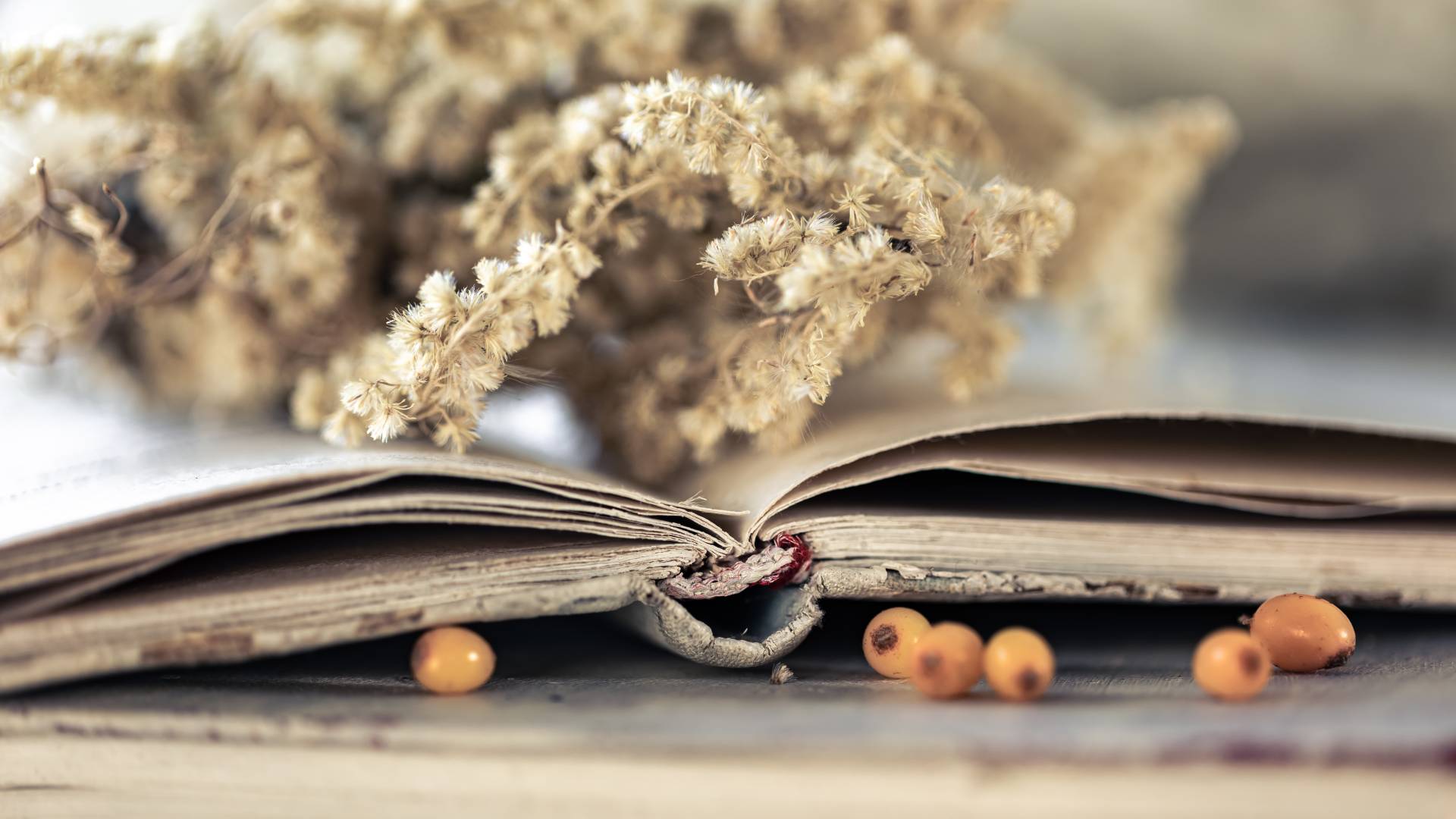 Priložnost za ustvarjalce vseh generacij na temo sreče