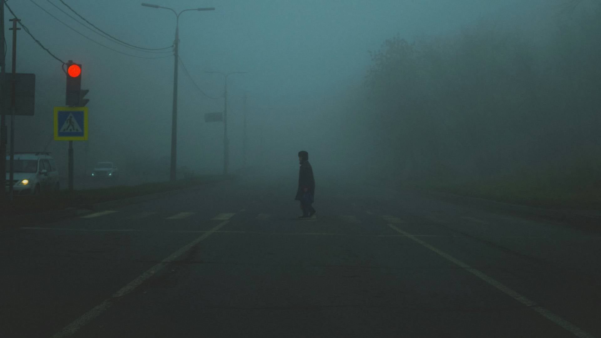 Na cestah PU Novo mesto umrlo 13 pešcev, policija opozarja na kritične napake