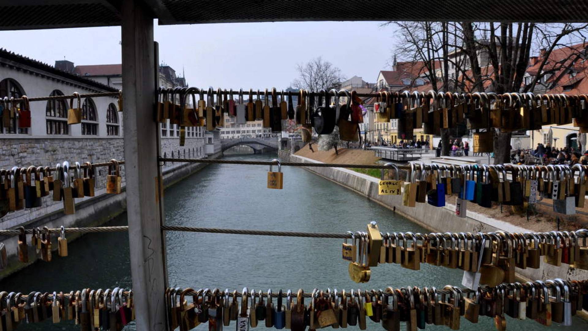 Ljubezen v Ljubljani lahko letos “posadite”. Plant Immortelle uvaja novo praznično gesto