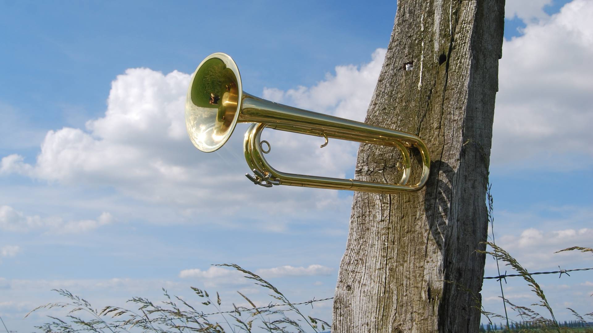 Ljubljančanko je spravil ob živce: »Sram me je, ampak soseda sem prijavila policiji.«