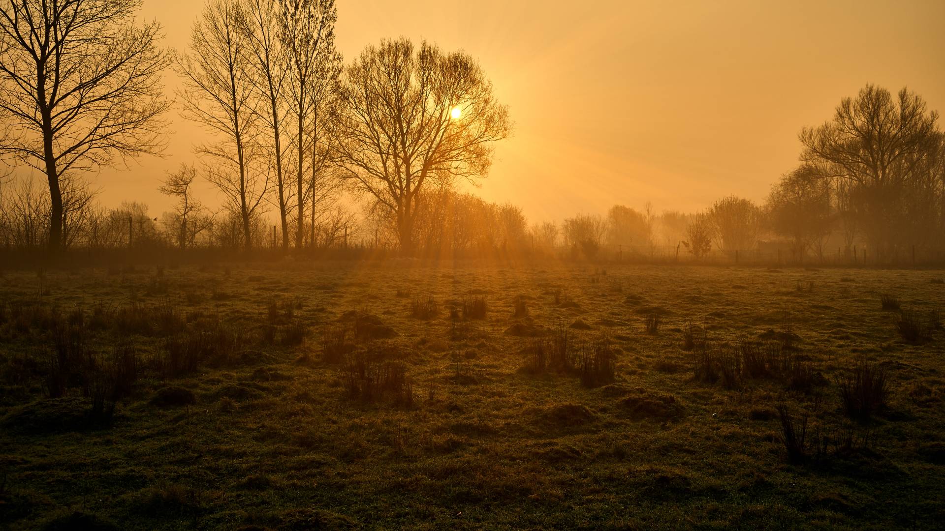 Prihaja sprememba vremena, kaj to pomeni za prve dni tedna?