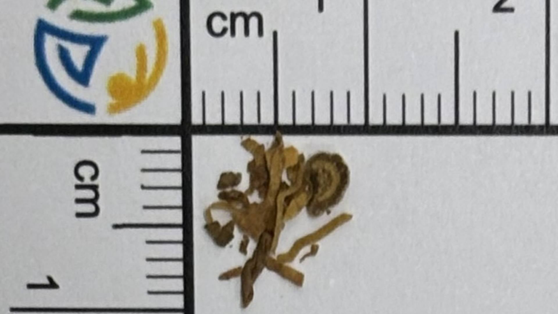 V Mariboru kupil tobak: Pomodrele so mu ustnice in ponorelo srce