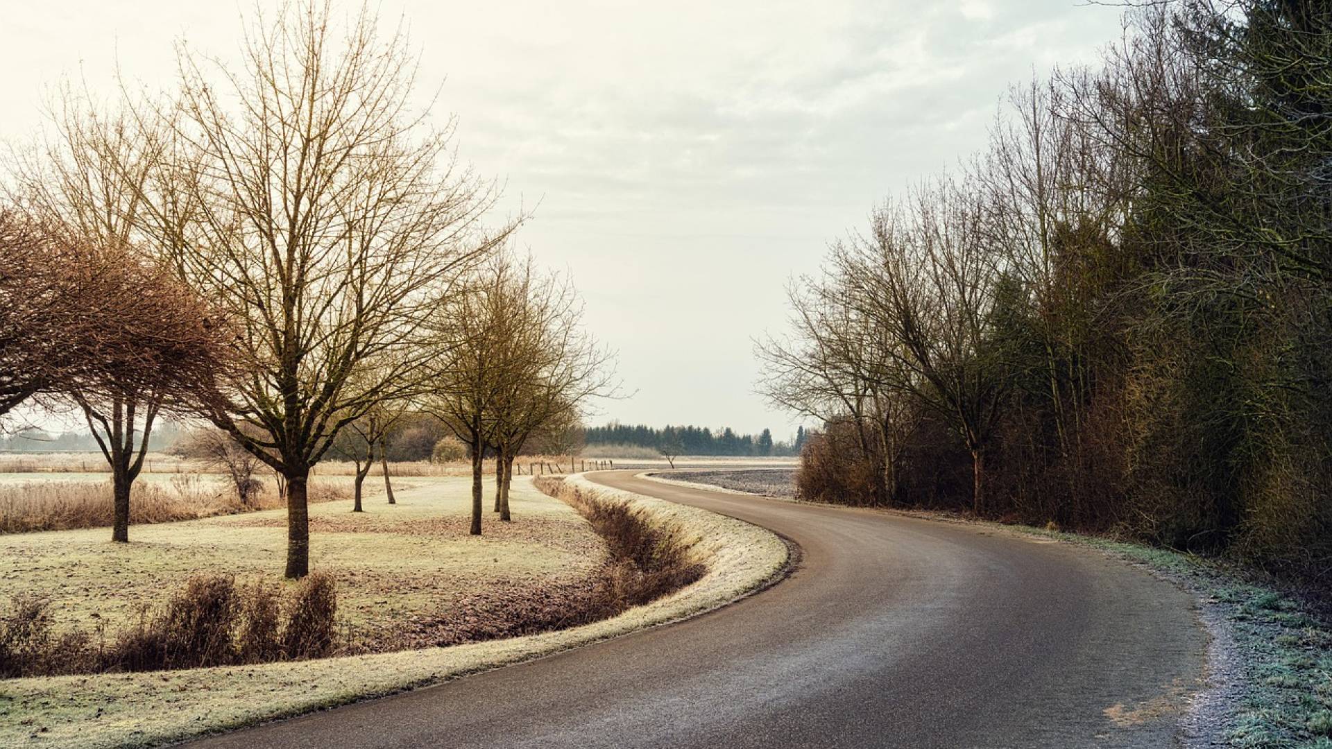 Letošnji november tretji najtoplejši doslej