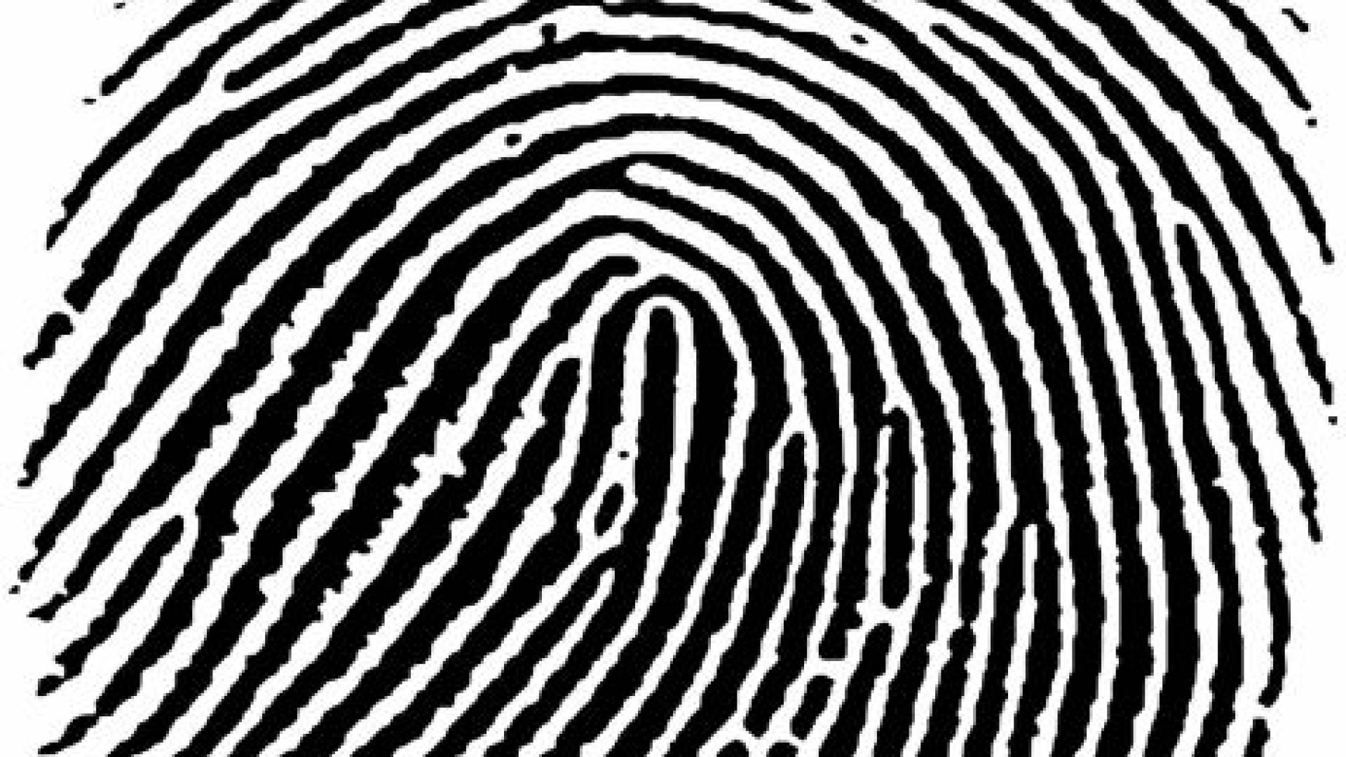 Dogodki in pojavi - Policija Murska Sobota