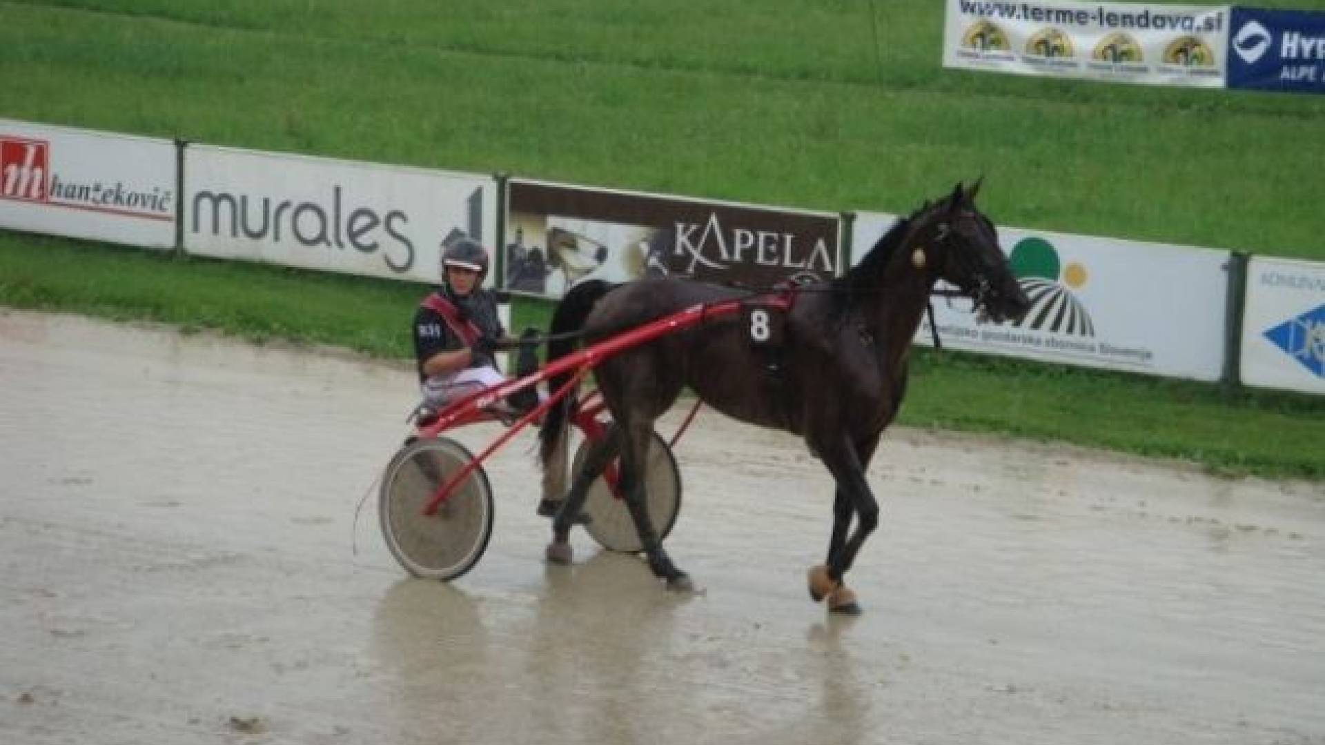 Rene Hanžekovič.jpg