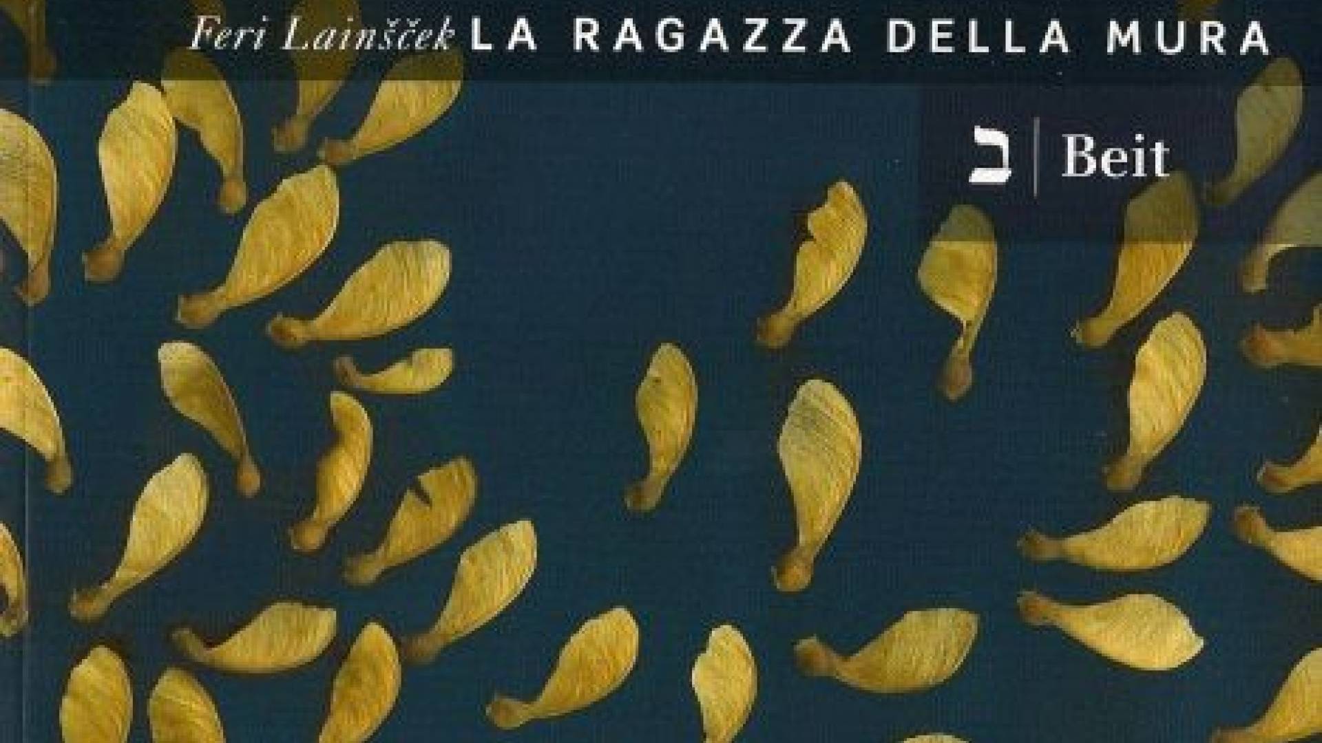 La ragazza della mura.jpg