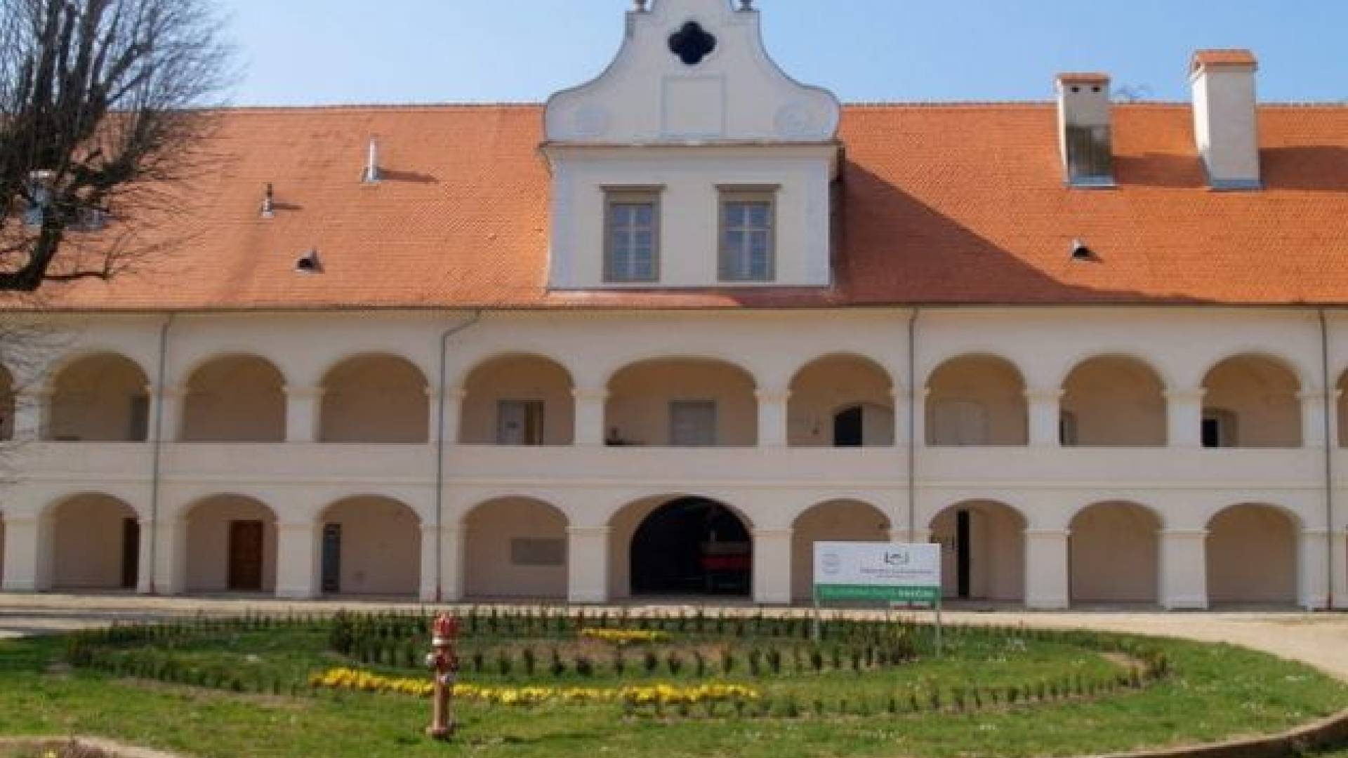 dislocirana enota rakican.JPG